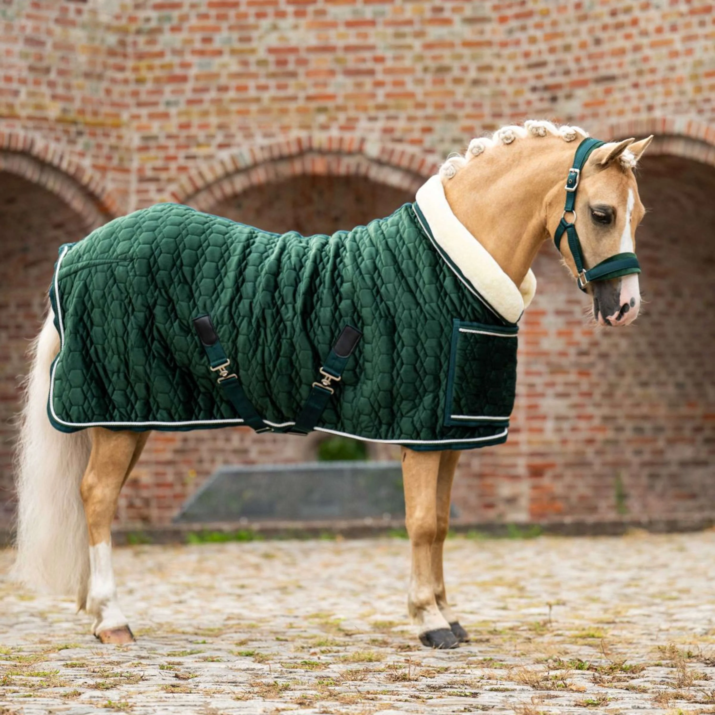 HB Ruitersport Couverture de Concours Special Peach Forest Green - Image 2
