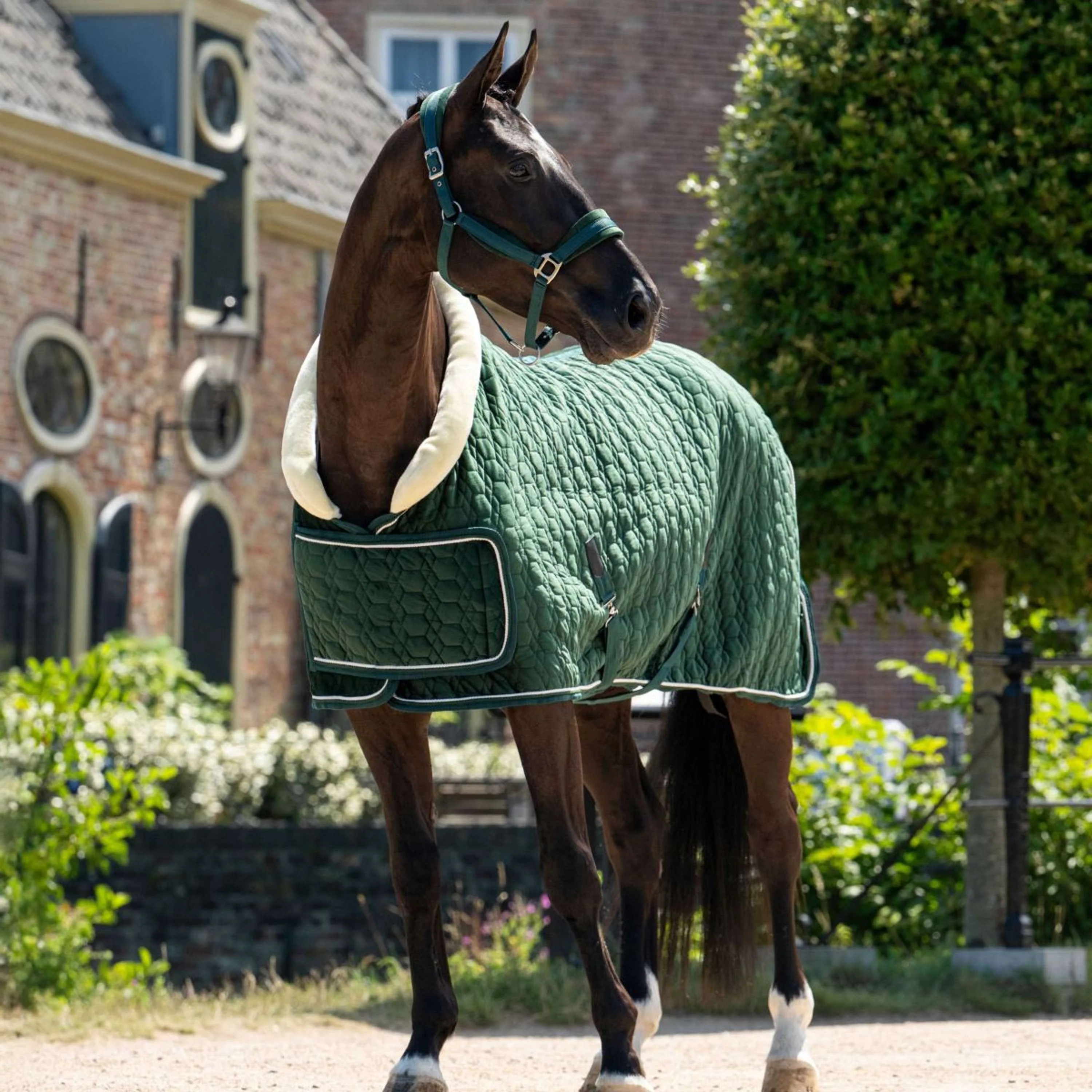 HB Ruitersport Couverture de Concours Special Peach Forest Green - Image 3