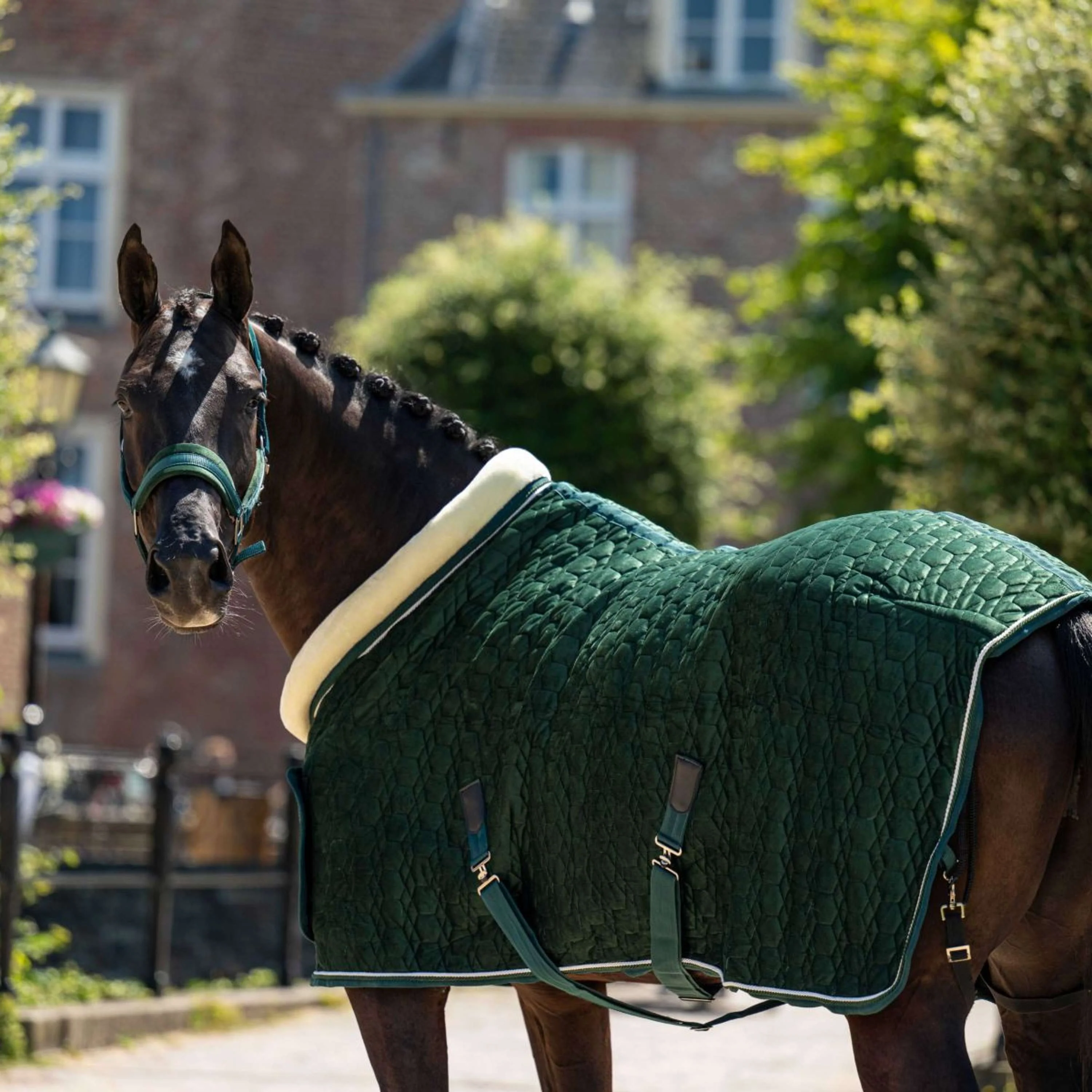 HB Ruitersport Couverture de Concours Special Peach Forest Green - Image 4