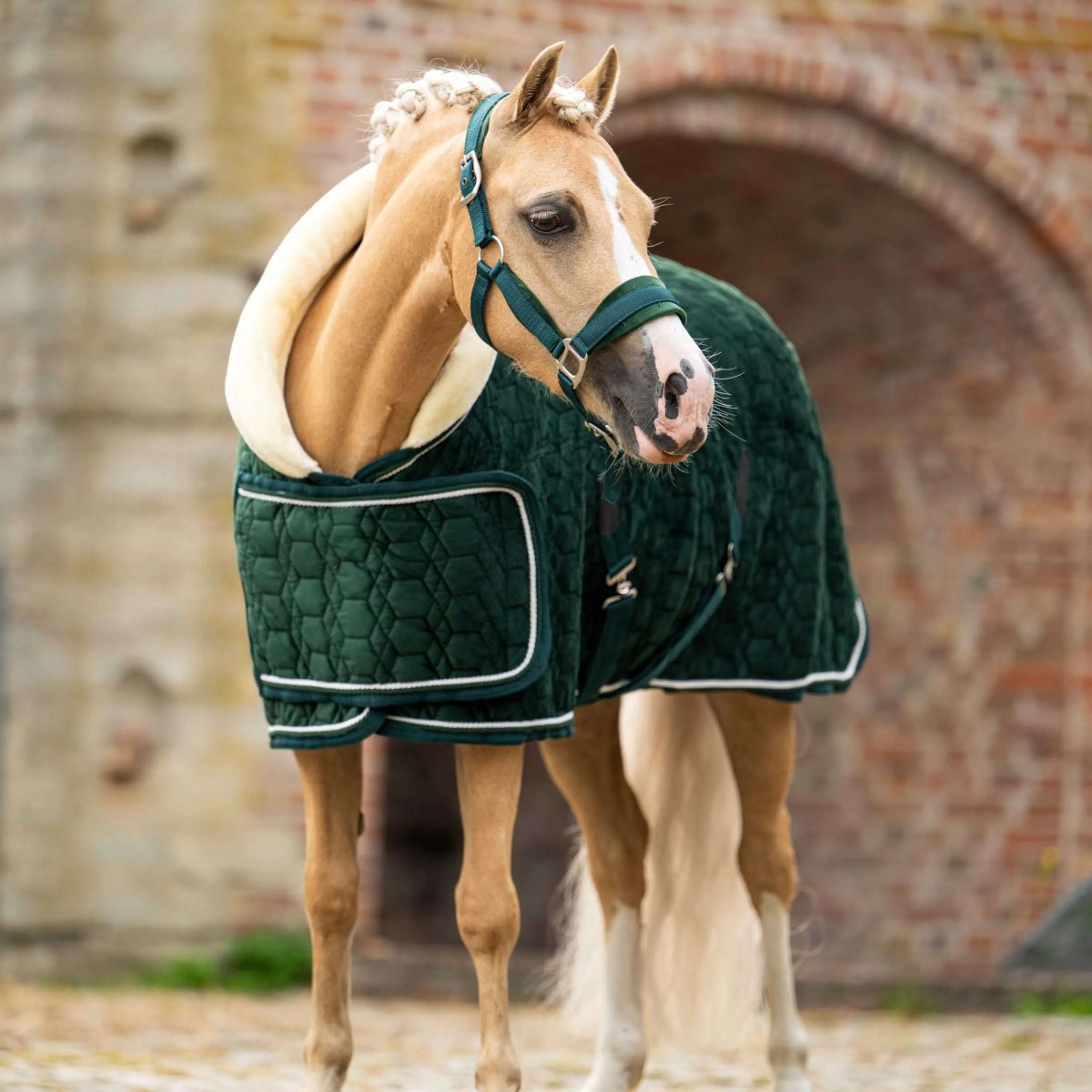 HB Ruitersport Couverture de Concours Special Peach Forest Green - Image 7