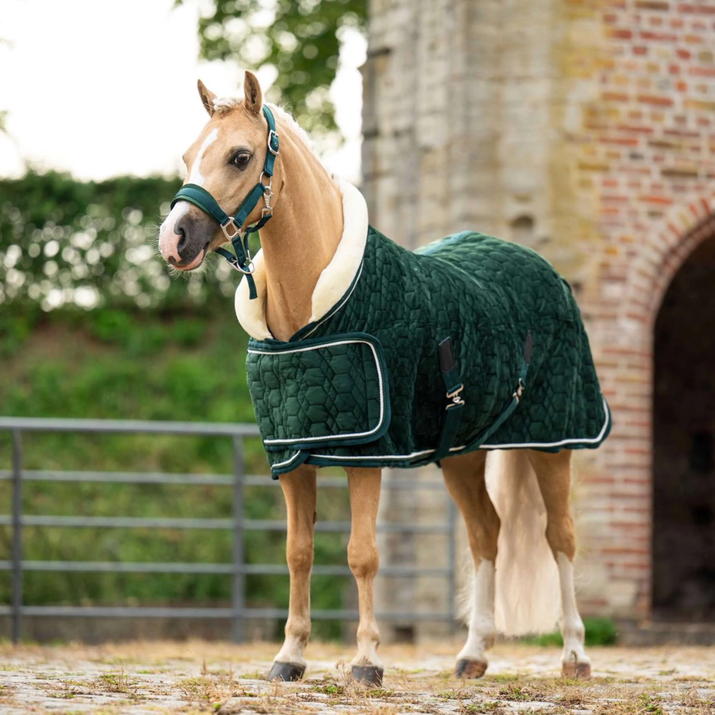 HB Ruitersport Couverture de Concours Special Peach Forest Green - Image 8