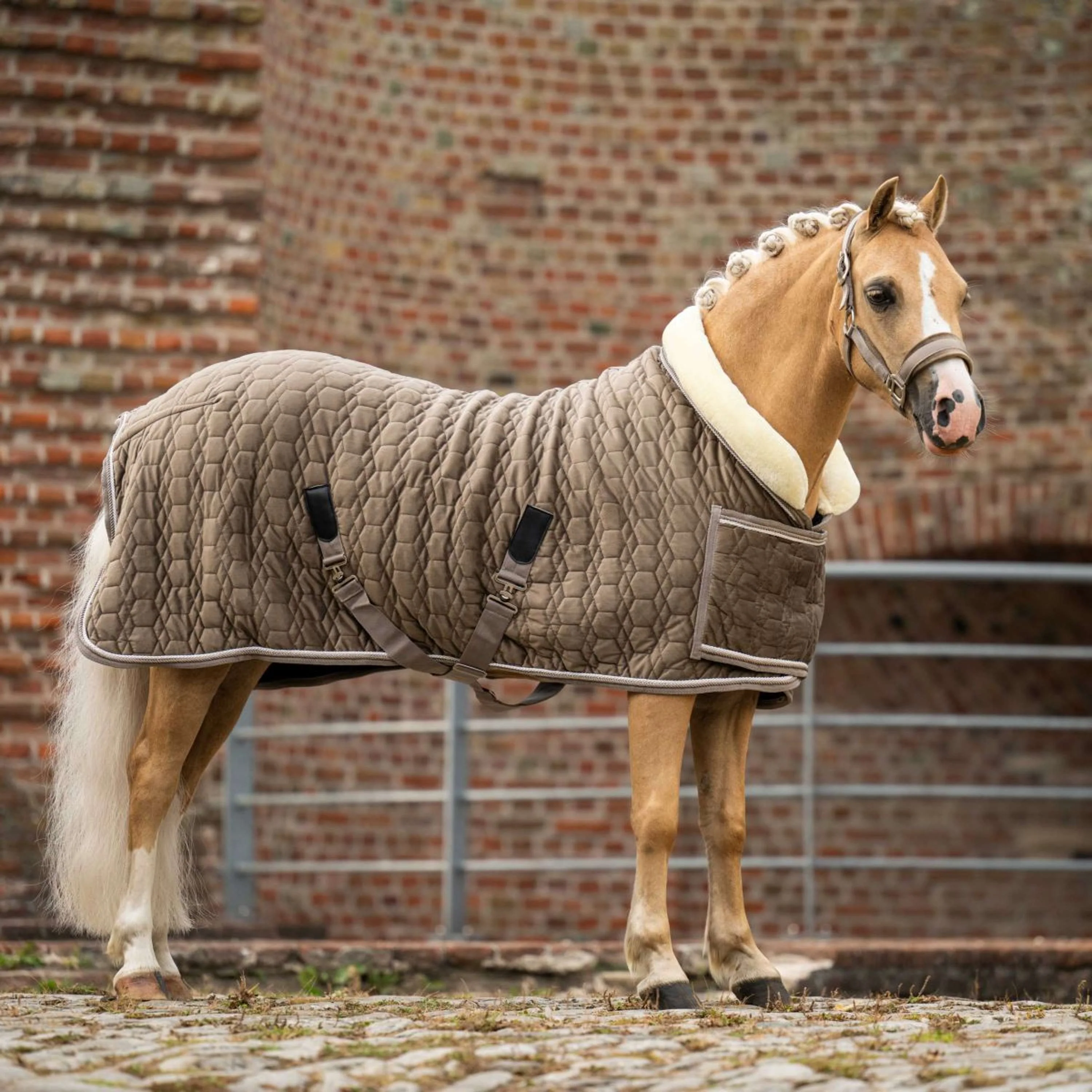 HB Ruitersport Couverture de Concours Special Peach Taupe - Image 2