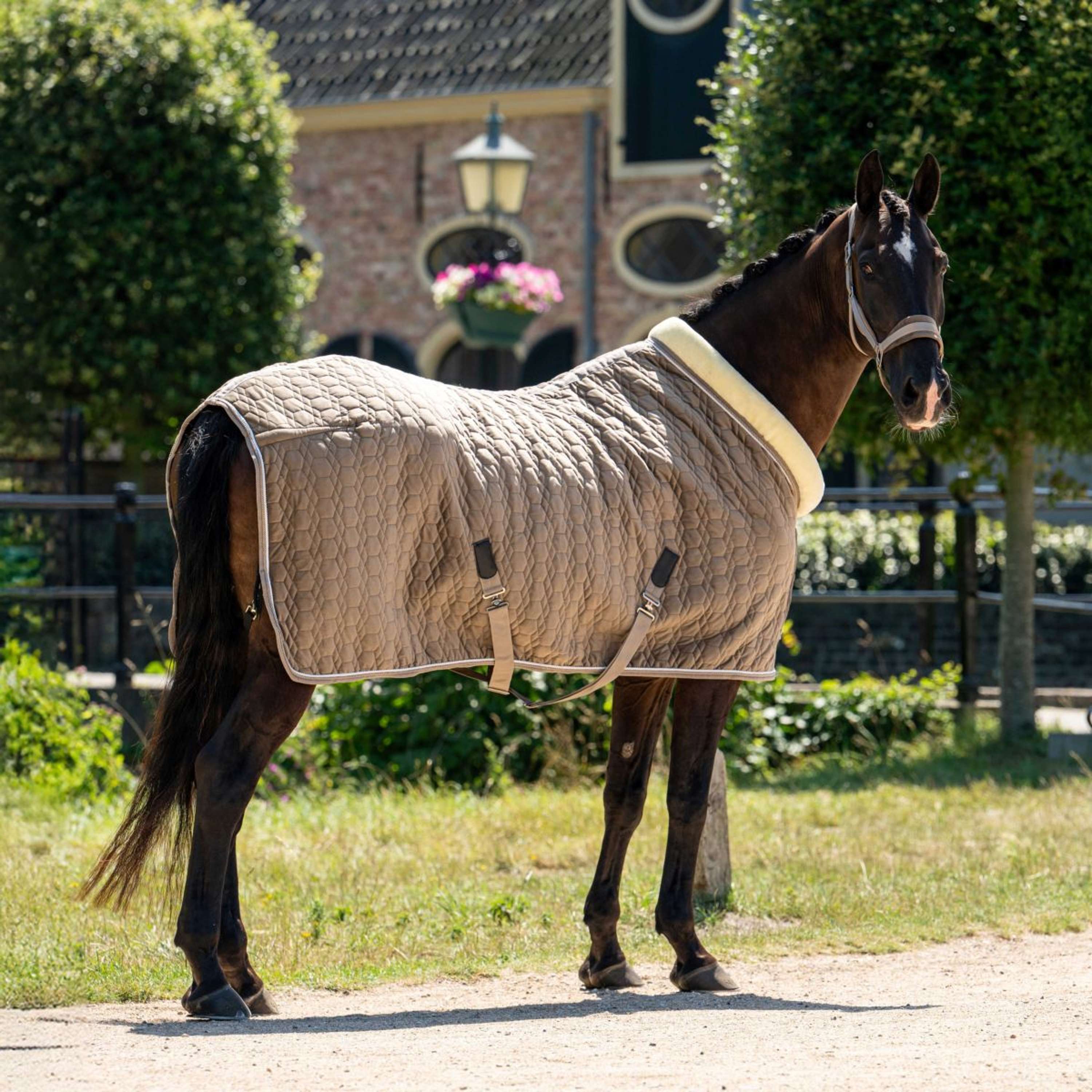 HB Ruitersport Couverture de Concours Special Peach Taupe - Image 6