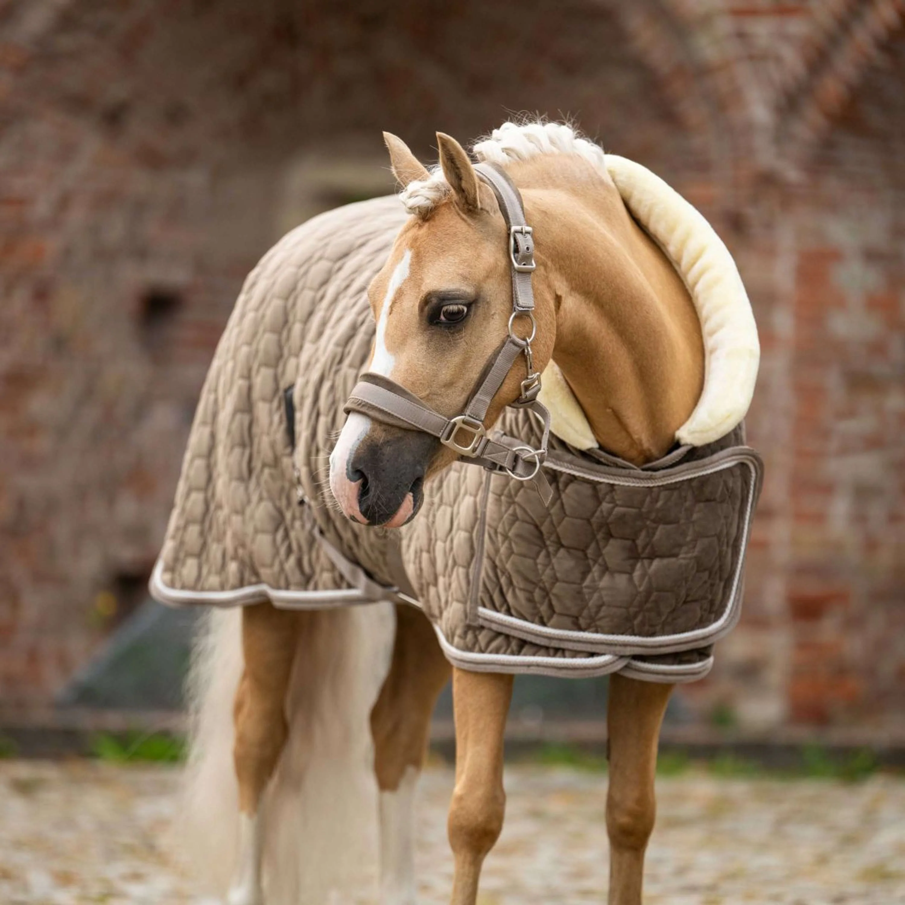 HB Ruitersport Couverture de Concours Special Peach Taupe - Image 8