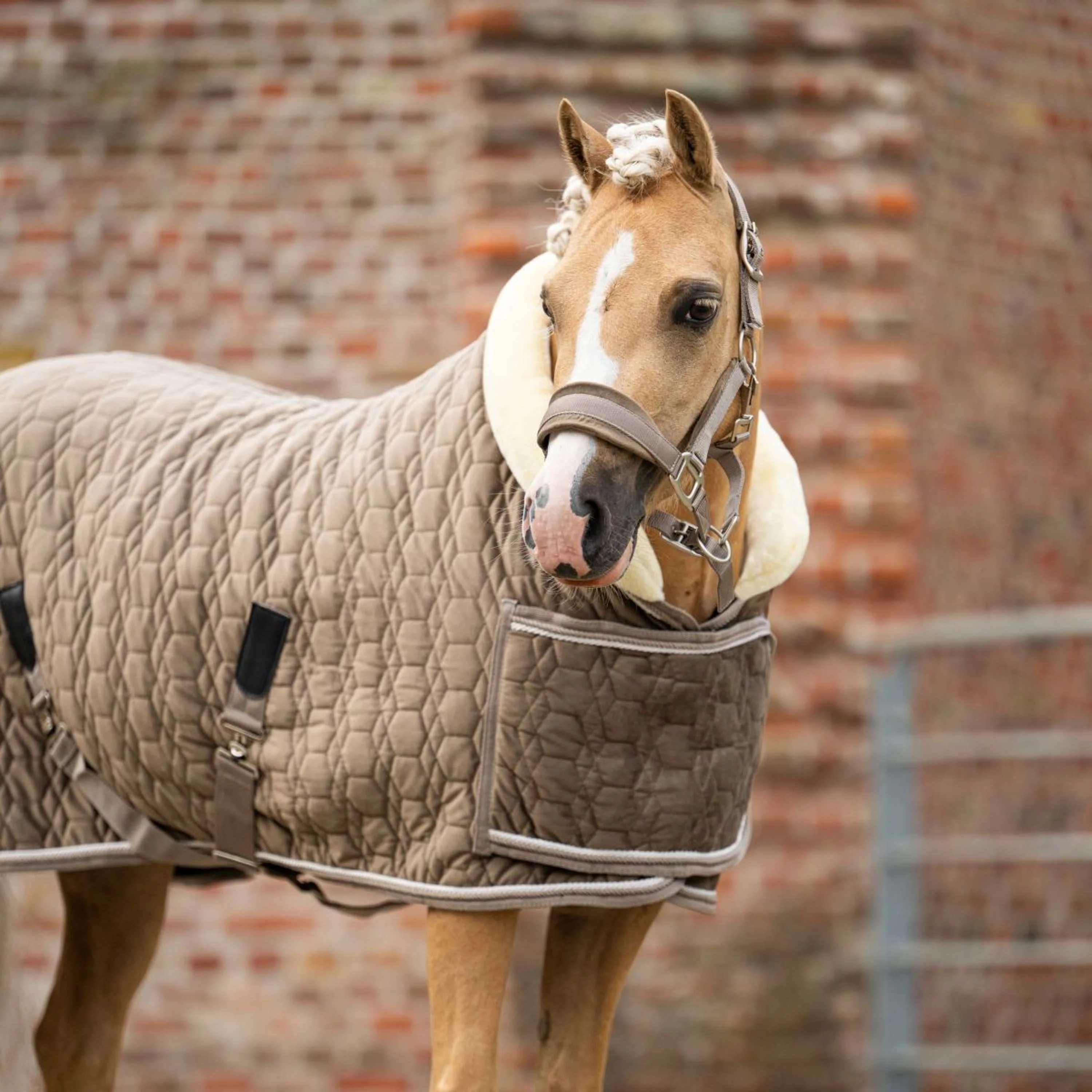 HB Ruitersport Couverture de Concours Special Peach Taupe - Image 9