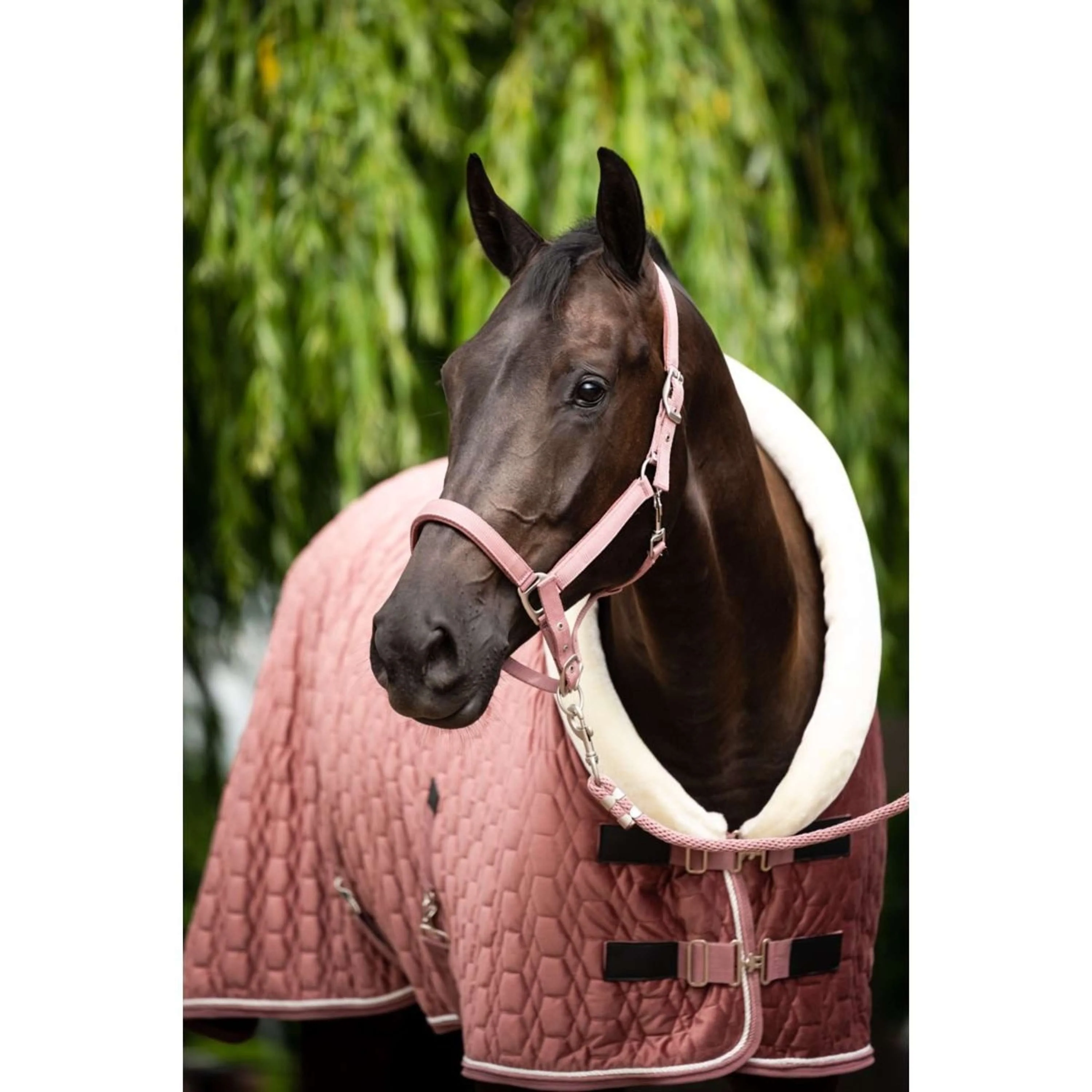 HB Couverture de Concours Velvet Peach Tropical 160g Pêche - Image 4