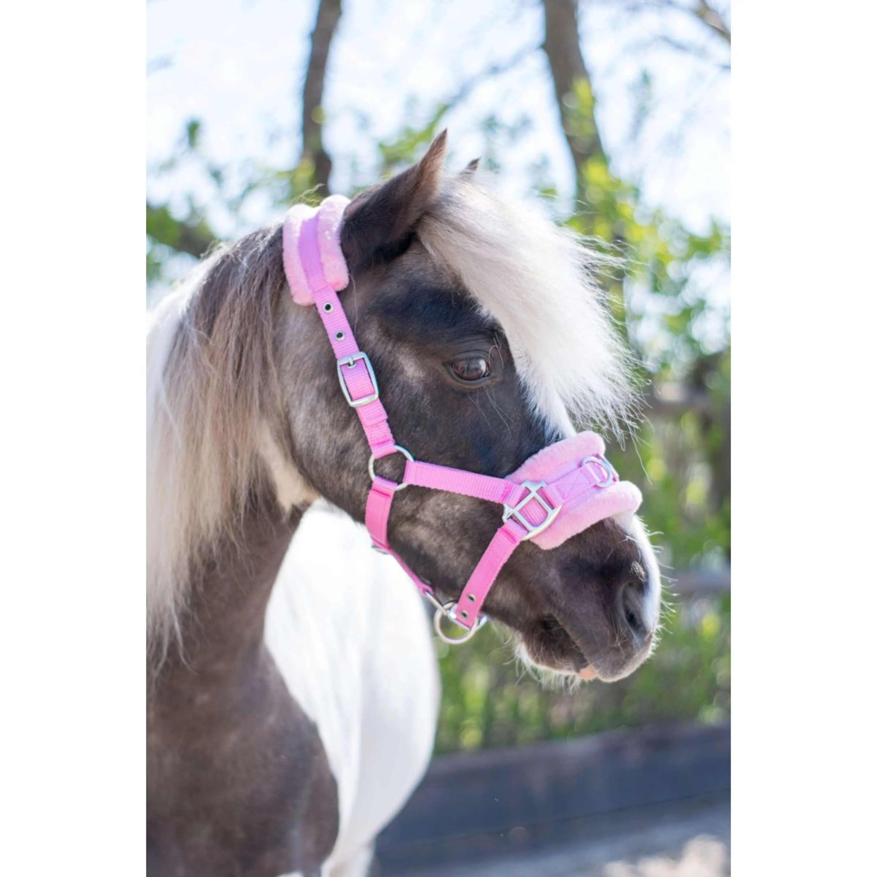 HB Licol Nylon Caveçon Rose - Image 2