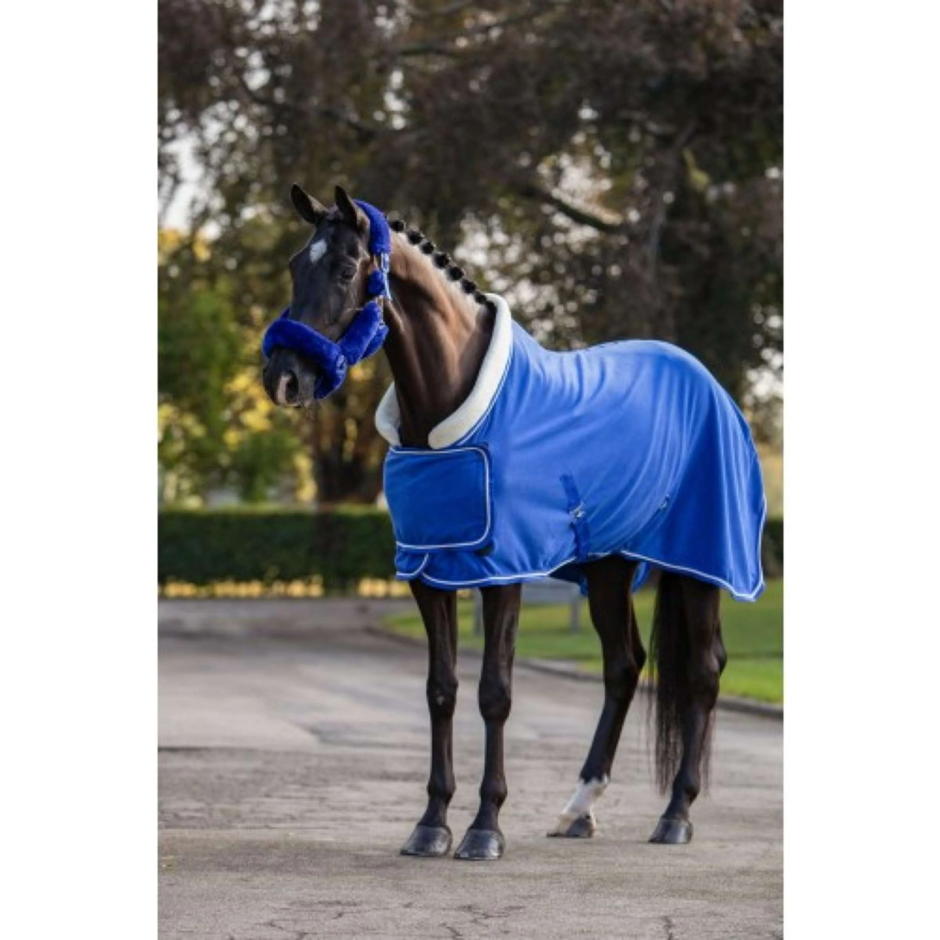 HB Showtime Couverture de Concours Dutch Crown Bleu Royal - Image 10