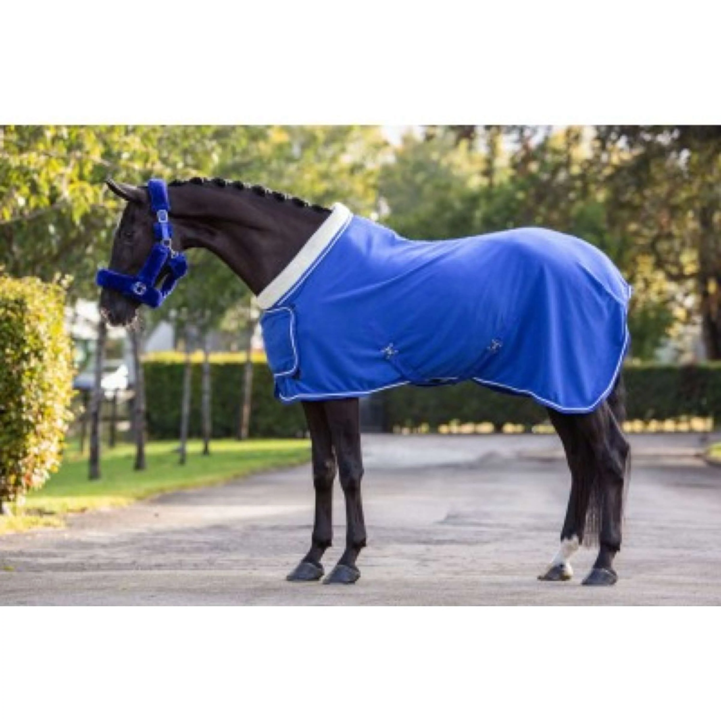 HB Showtime Couverture de Concours Dutch Crown Bleu Royal - Image 9