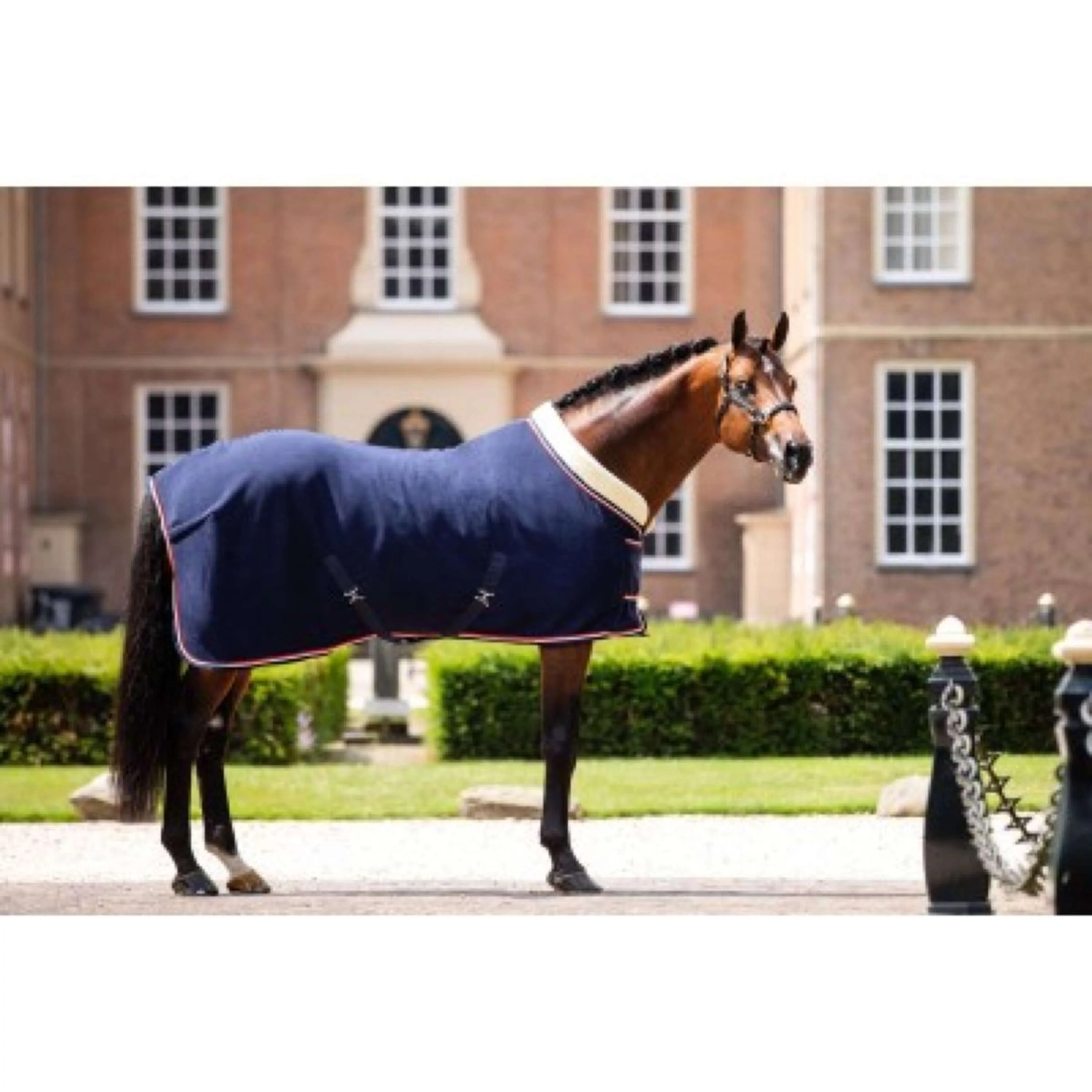 HB Showtime Couverture de Concours Dutch Crown Marin - Image 9