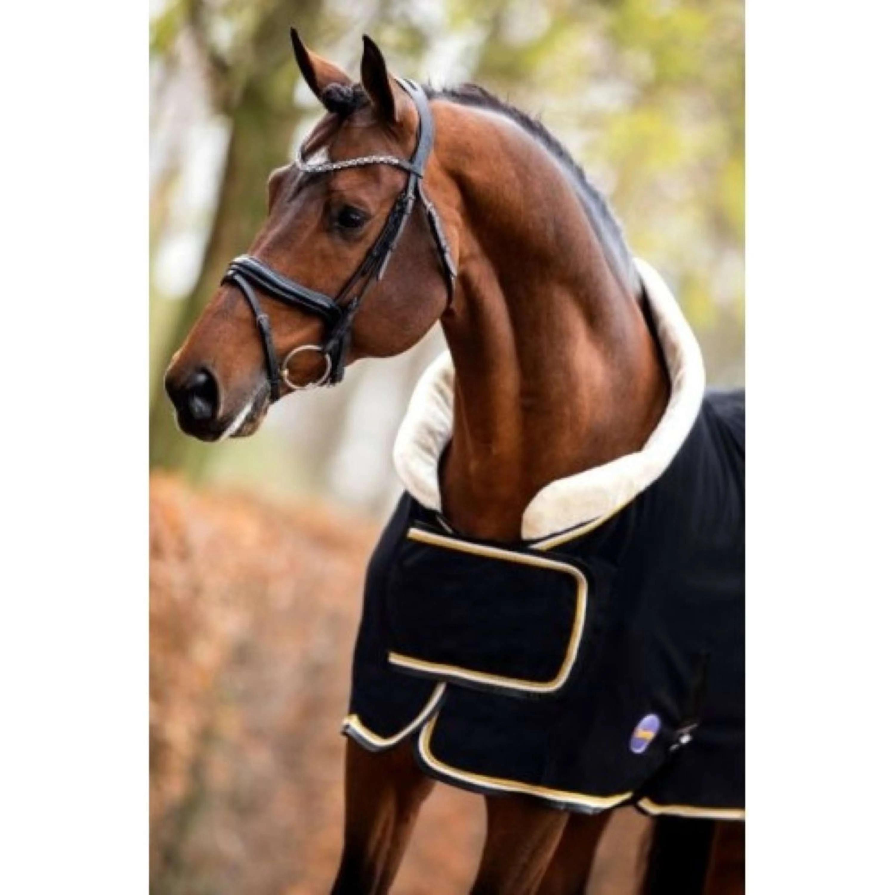 HB Showtime Couverture de Concours Dutch Crown Noir - Image 10
