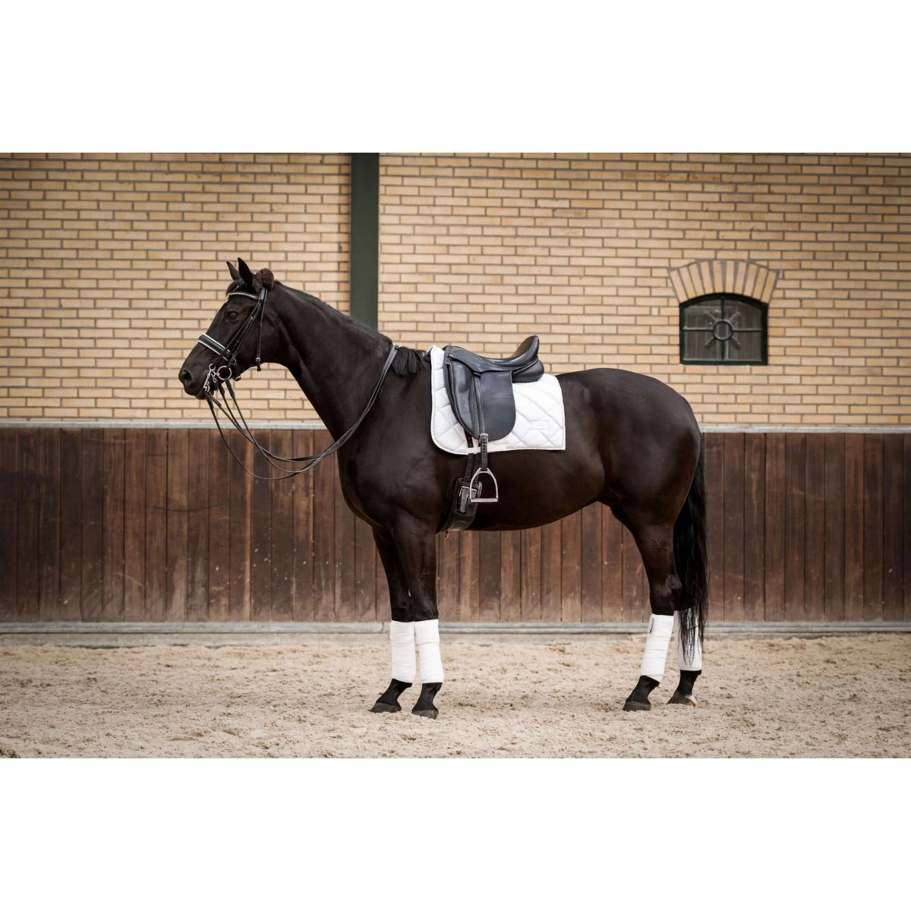 HB Tapis de Selle Crown Dressuur Blanc - Image 7