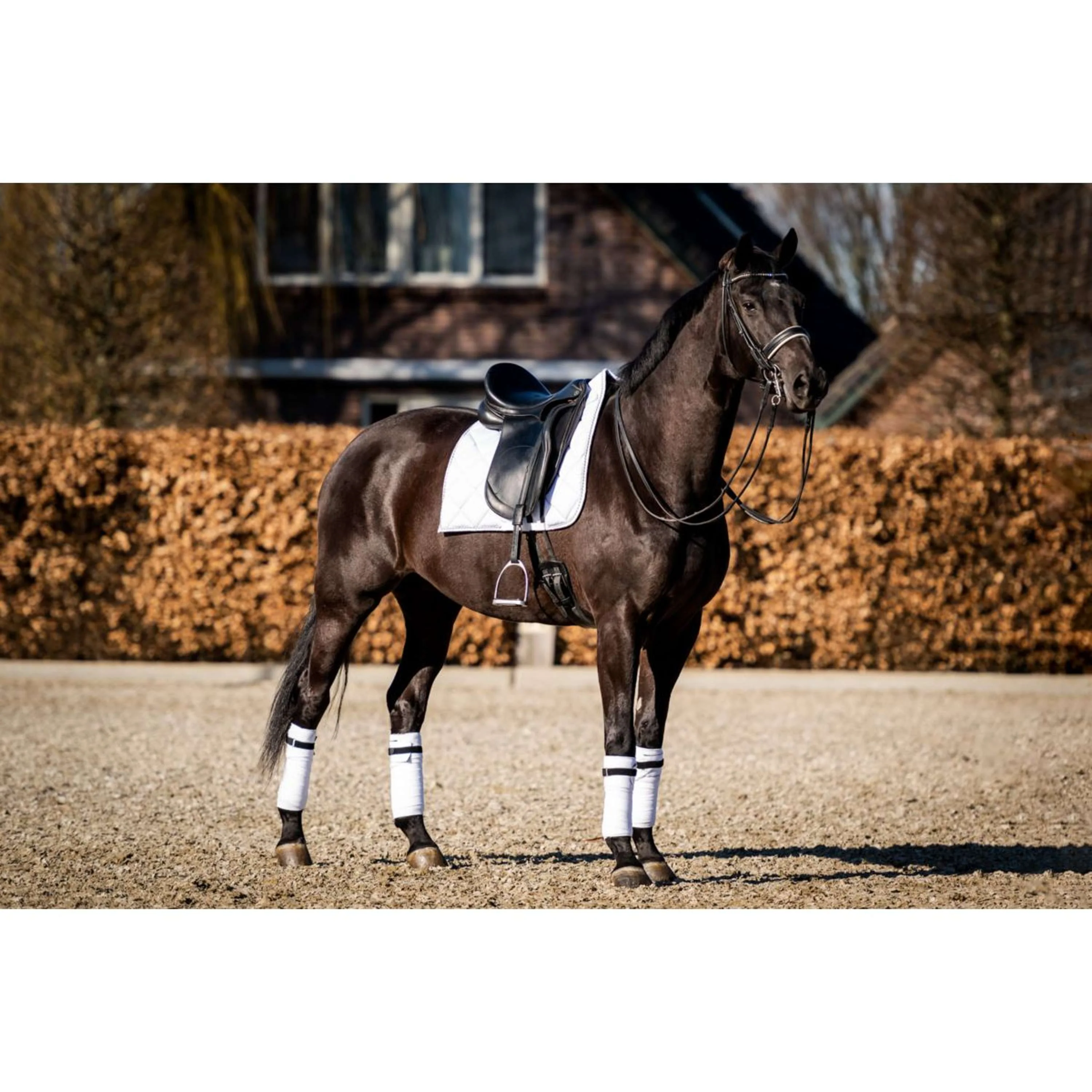HB Tapis de Selle Crown Dressuur Blanc - Image 8