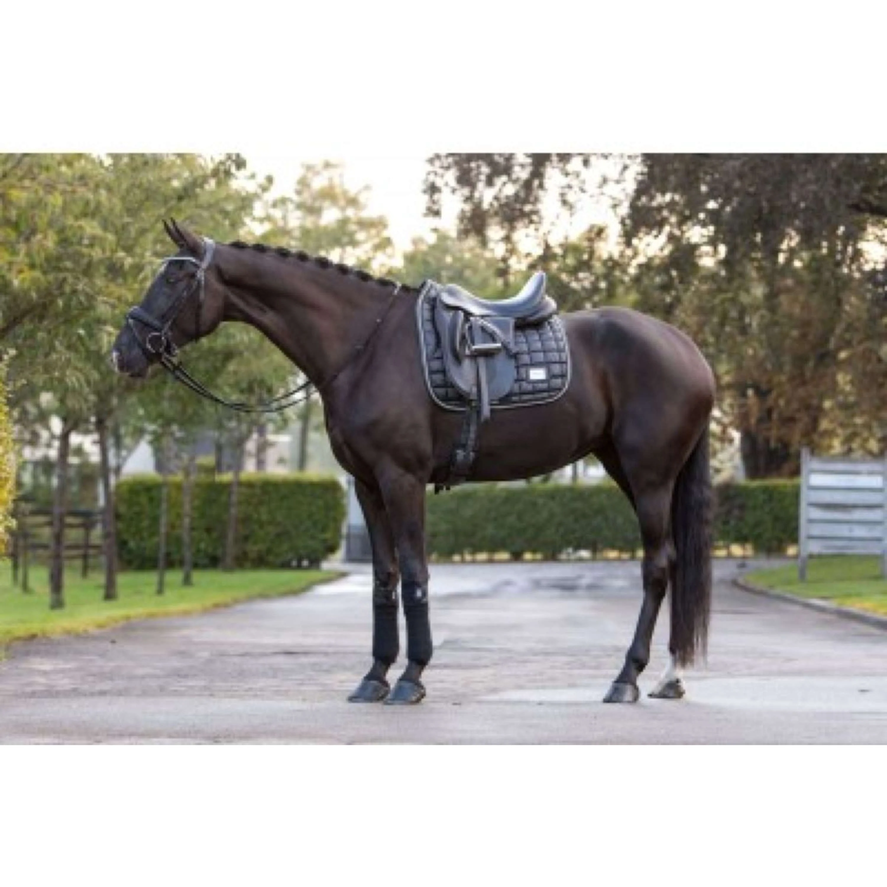 HB Tapis de Selle Lake View Dressuur Noir - Image 2