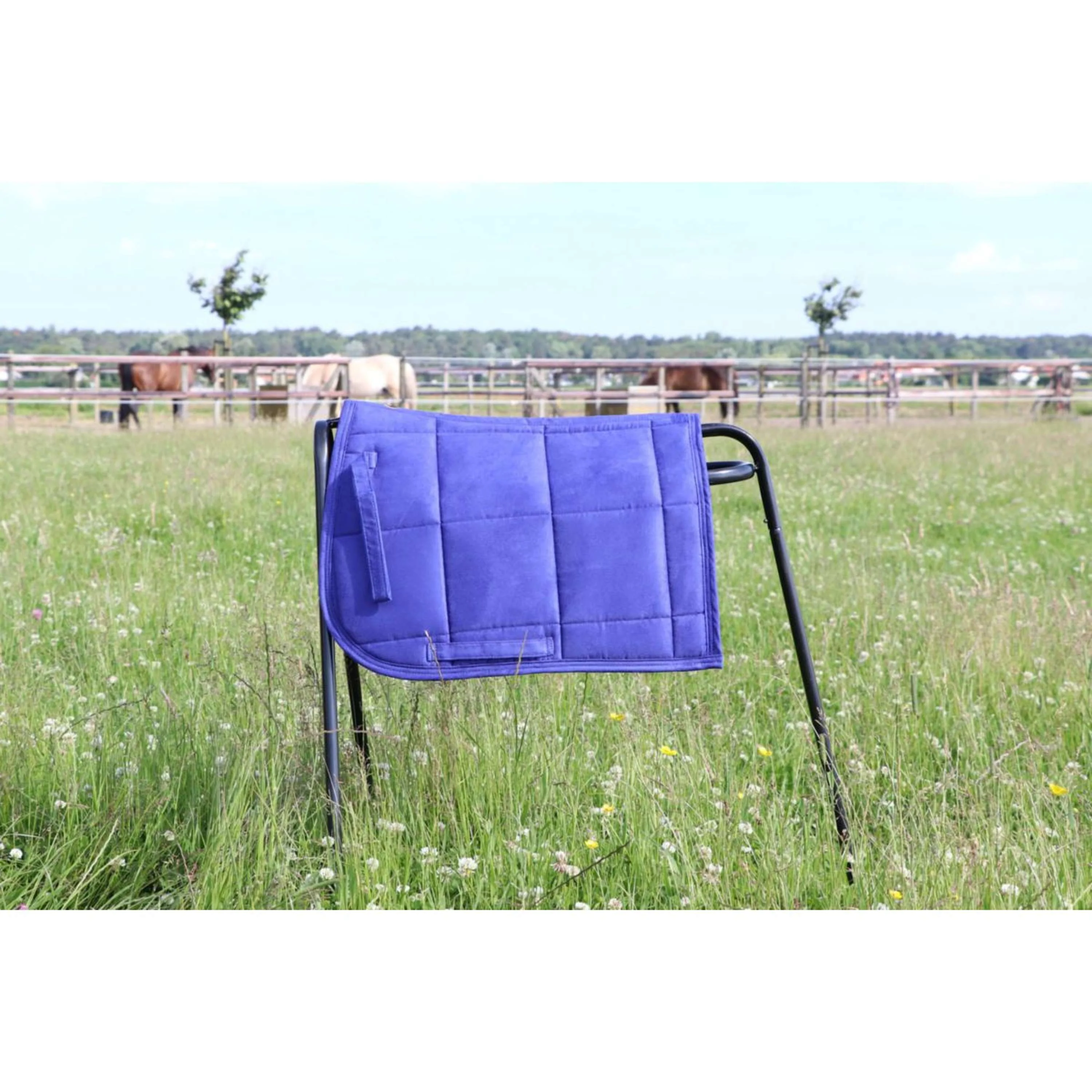 HB Tapis de Selle Shetland Bleu Royal - Image 2