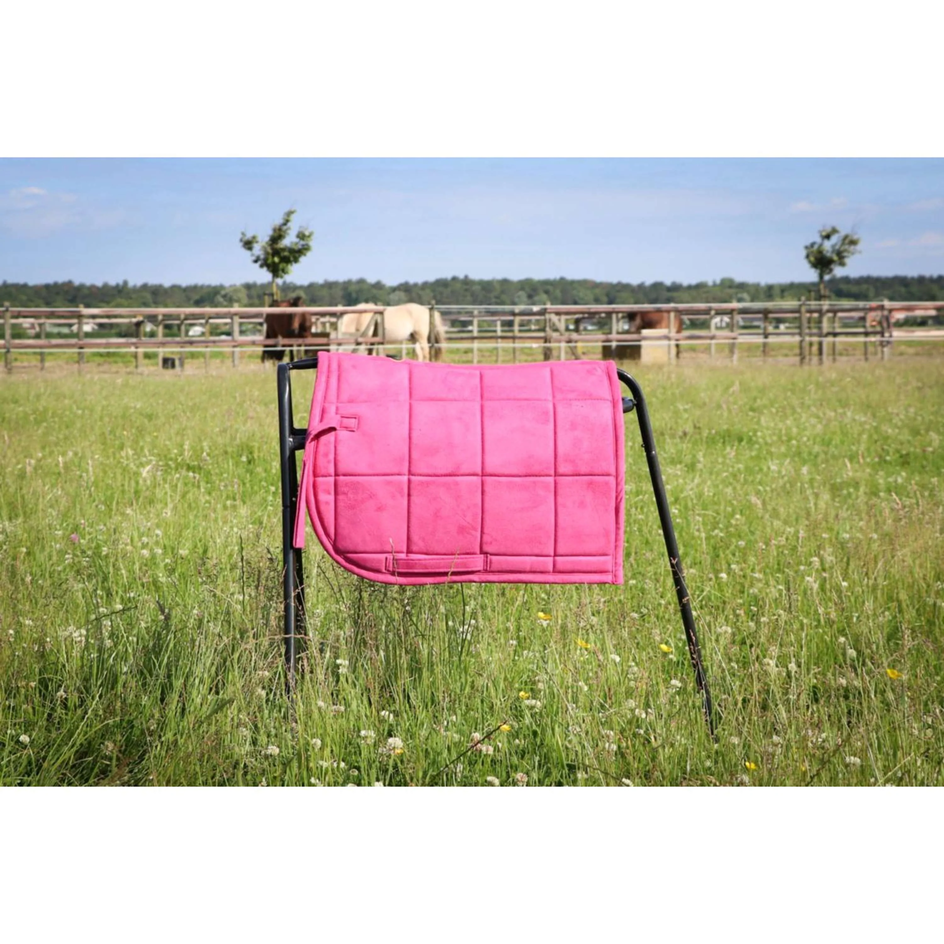 HB Tapis de Selle Shetland Rose - Image 2