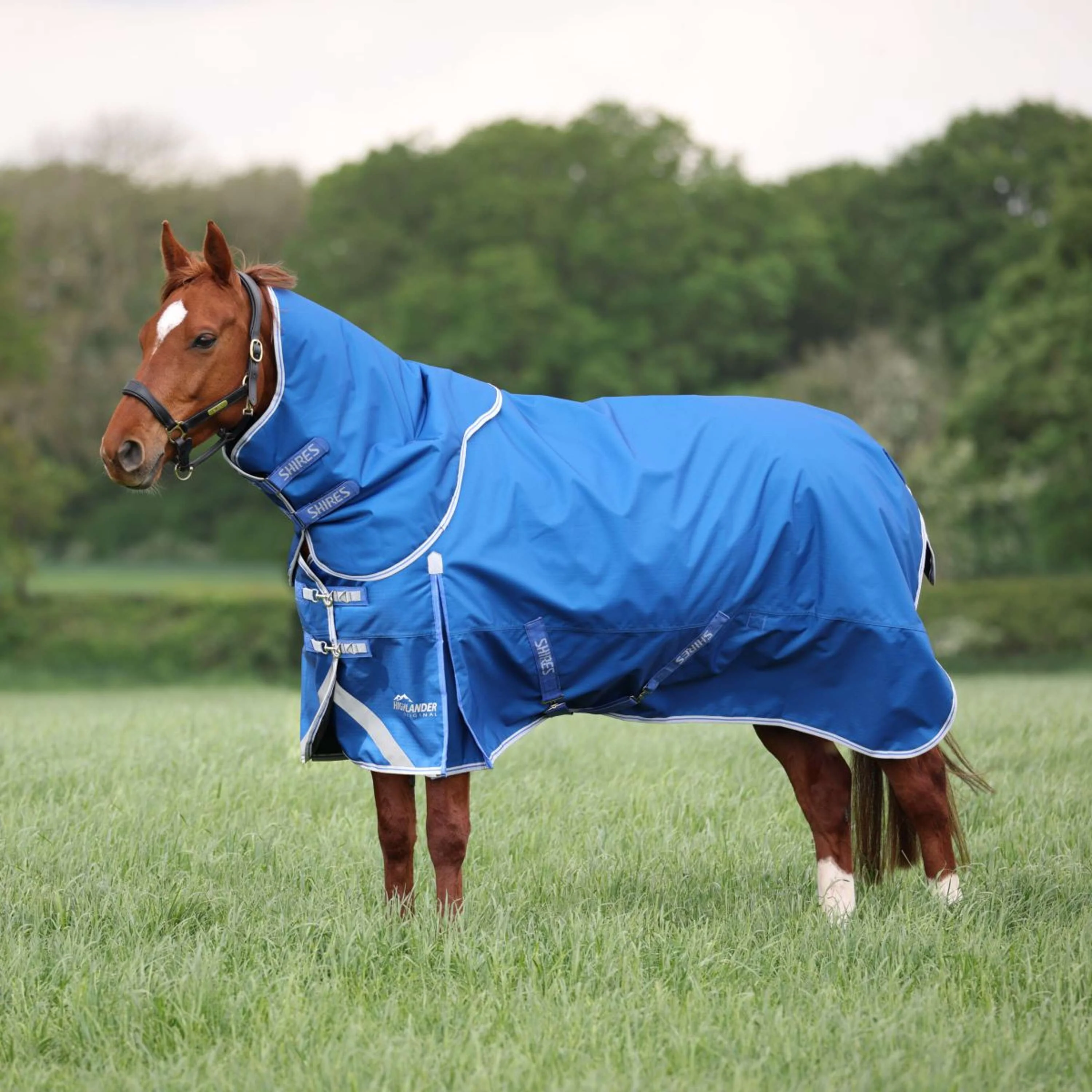 Highlander Original by Shires Couverture d'Hiver Turnout 200g avec Couvre-cou Bleu - Image 2