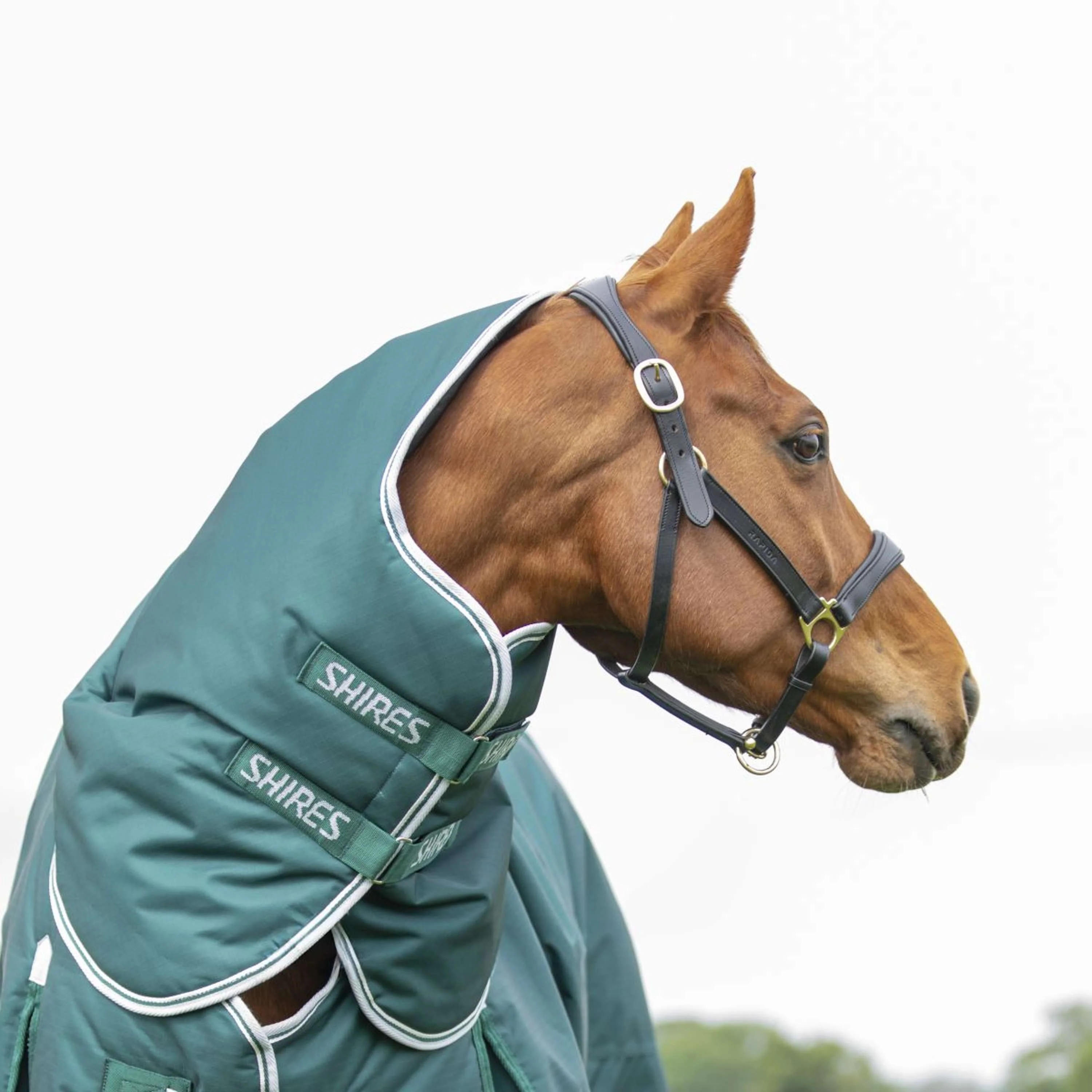 Highlander Original by Shires Couverture d'Hiver Turnout 300g avec Couvre-cou Vert - Image 2