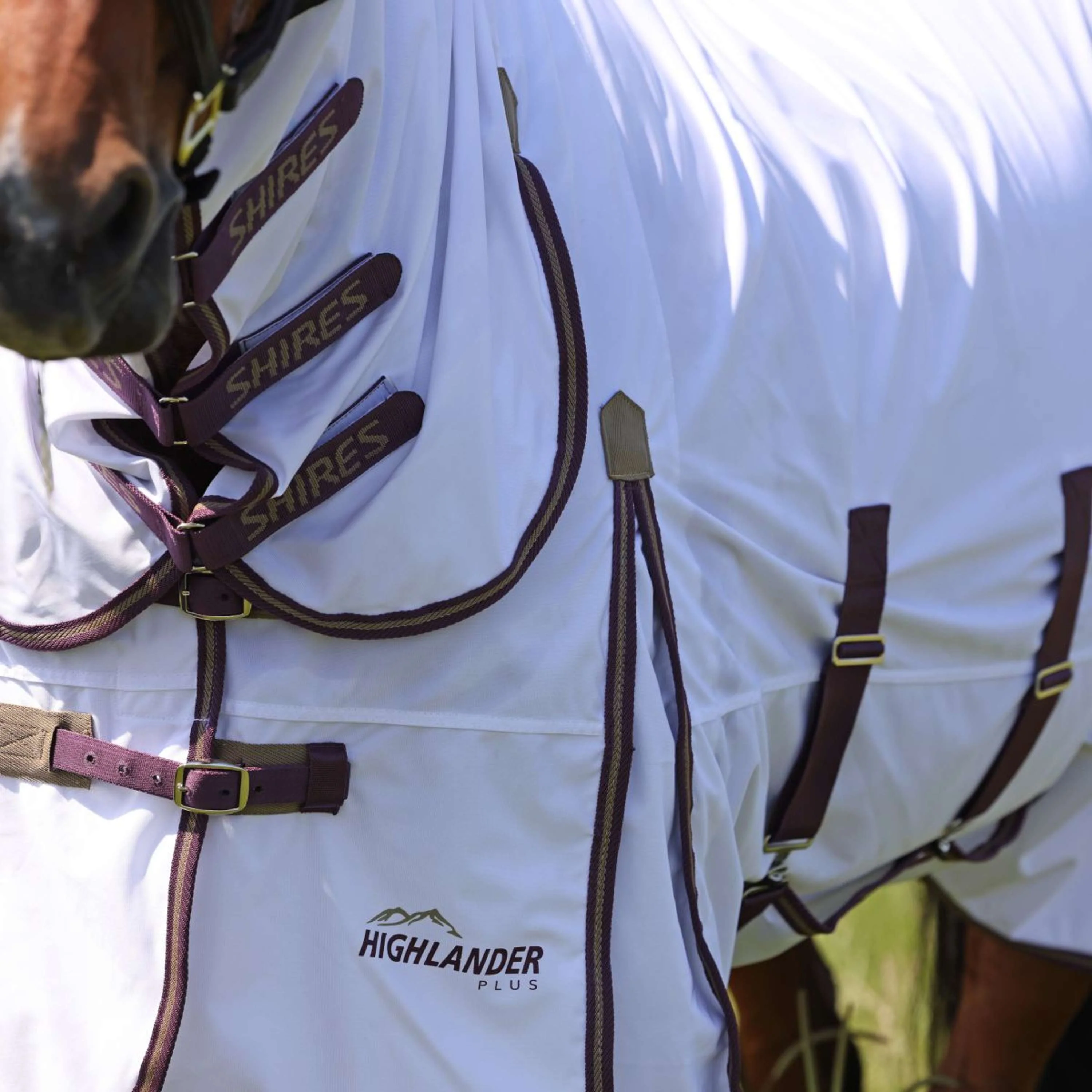 Highlander Plus by Shires Couverture Anti-Mouches Combo Blanc/Black Cherry - Image 3