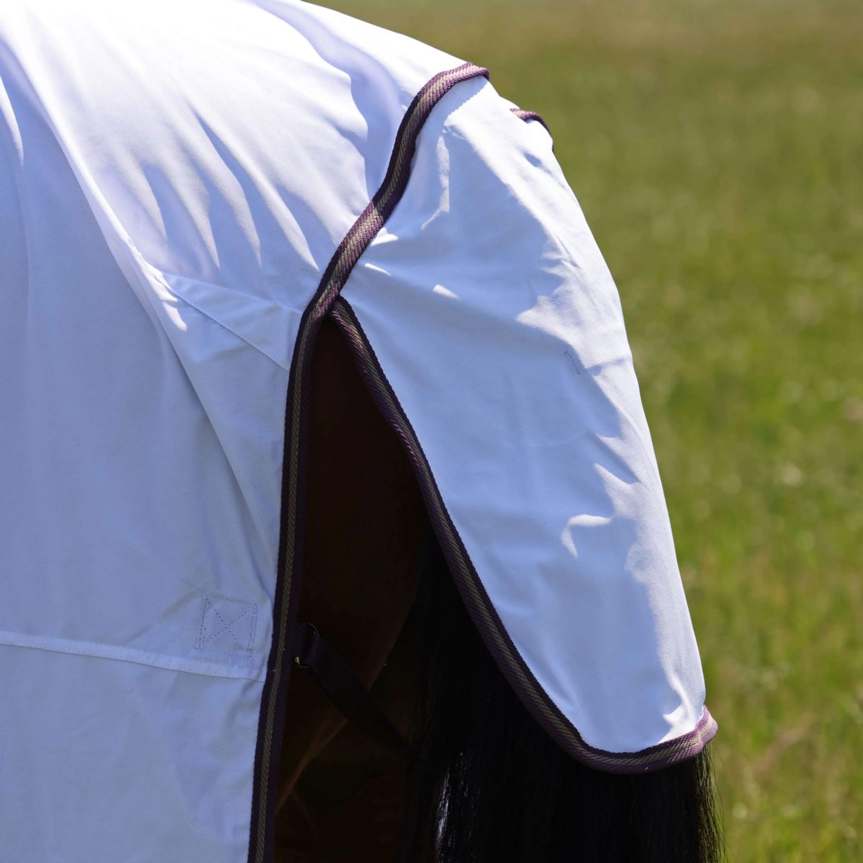 Highlander Plus by Shires Couverture Anti-Mouches Combo Blanc/Black Cherry - Image 7