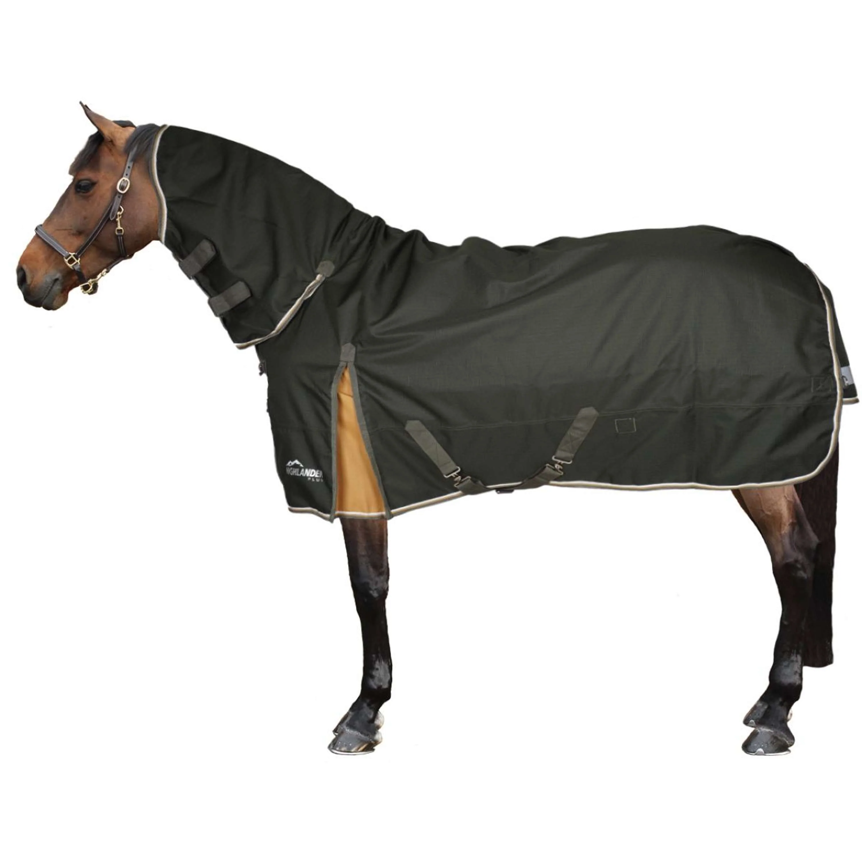 Highlander Plus by Shires Couverture d'Hiver Combo 50g Vert - Image 2