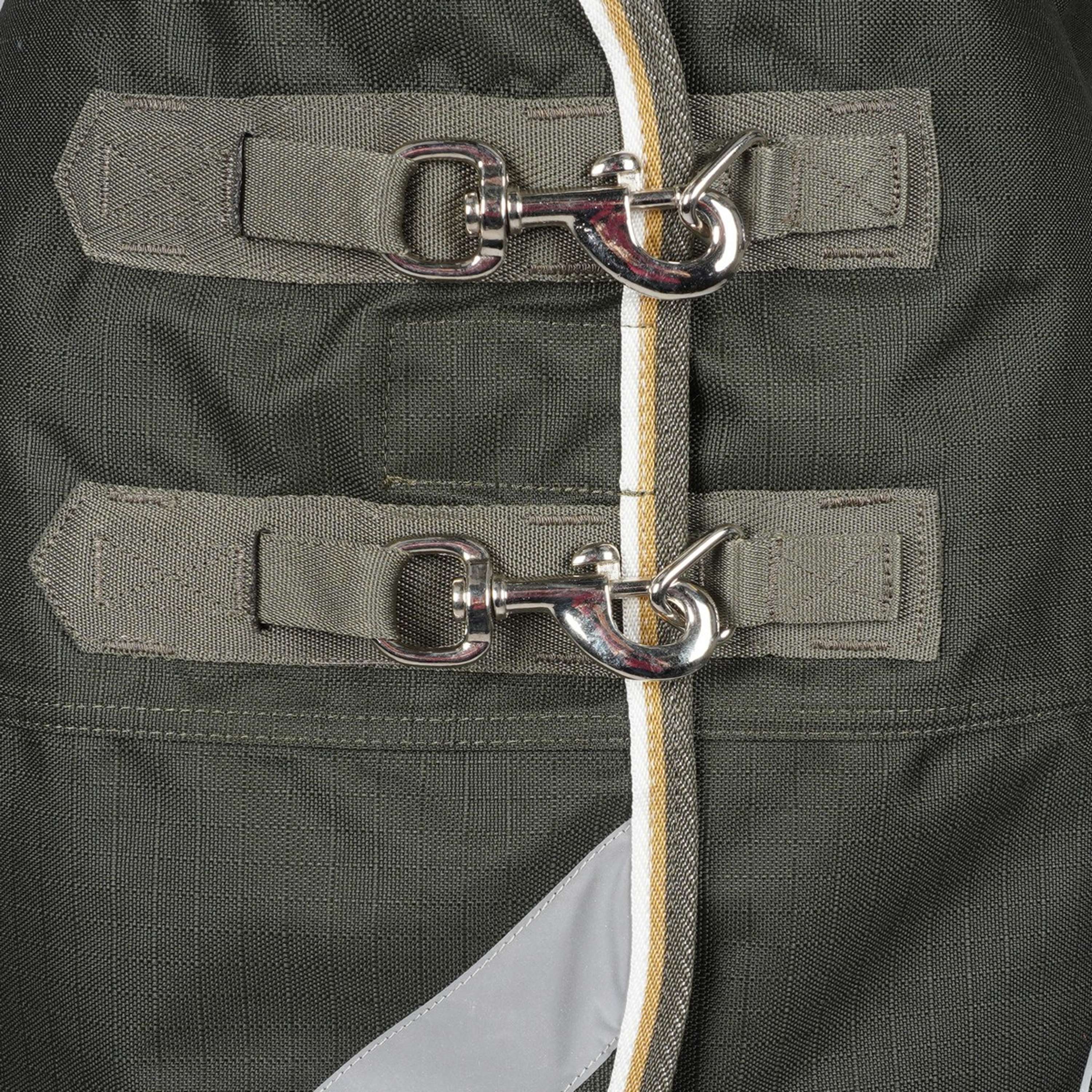 Highlander Plus by Shires Couverture d'Hiver Combo 50g Vert - Image 3