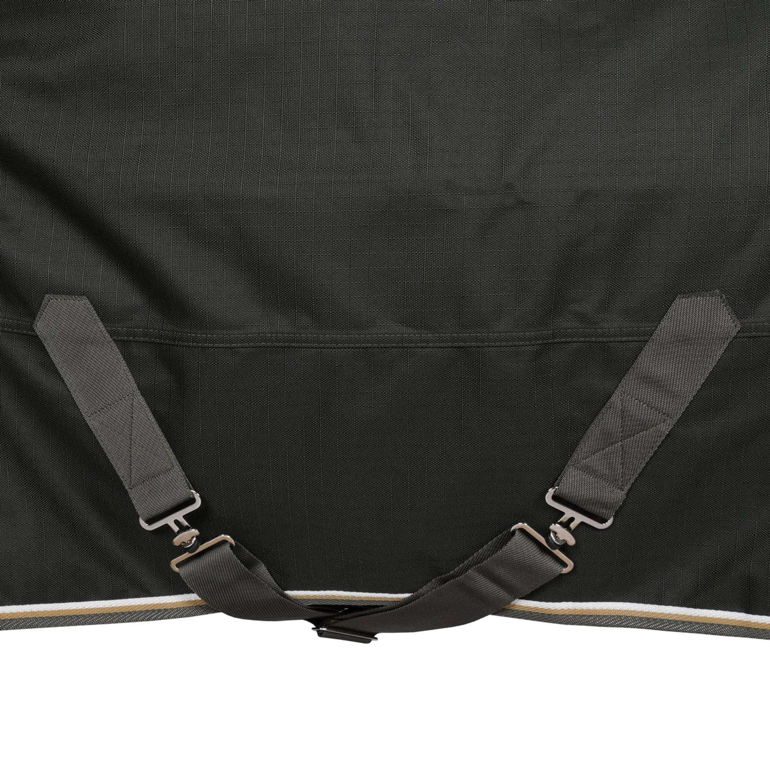 Highlander Plus by Shires Couverture d'Hiver Combo 50g Vert - Image 8
