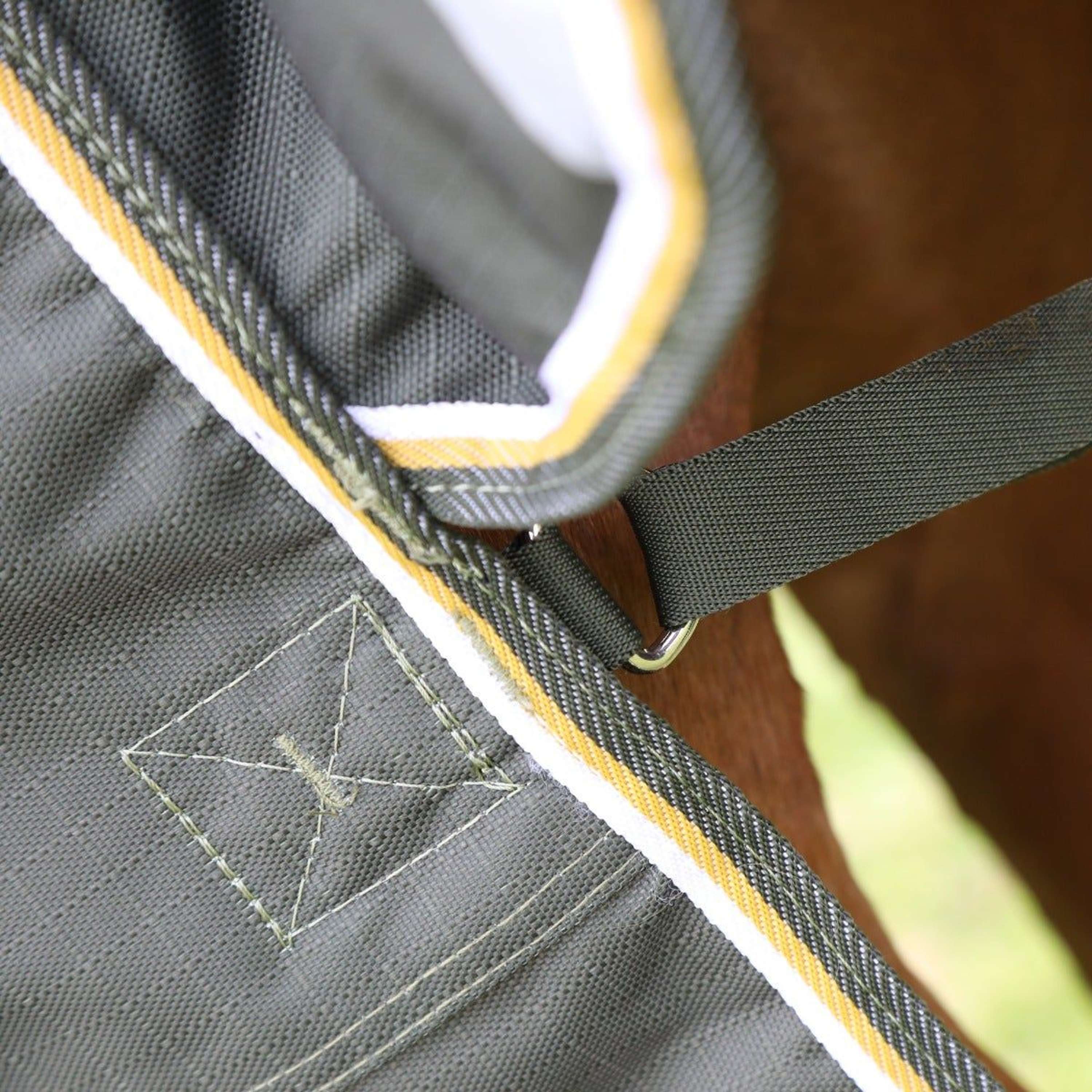 Highlander Plus by Shires Couverture Imperméable Turnout 50g Vert - Image 6