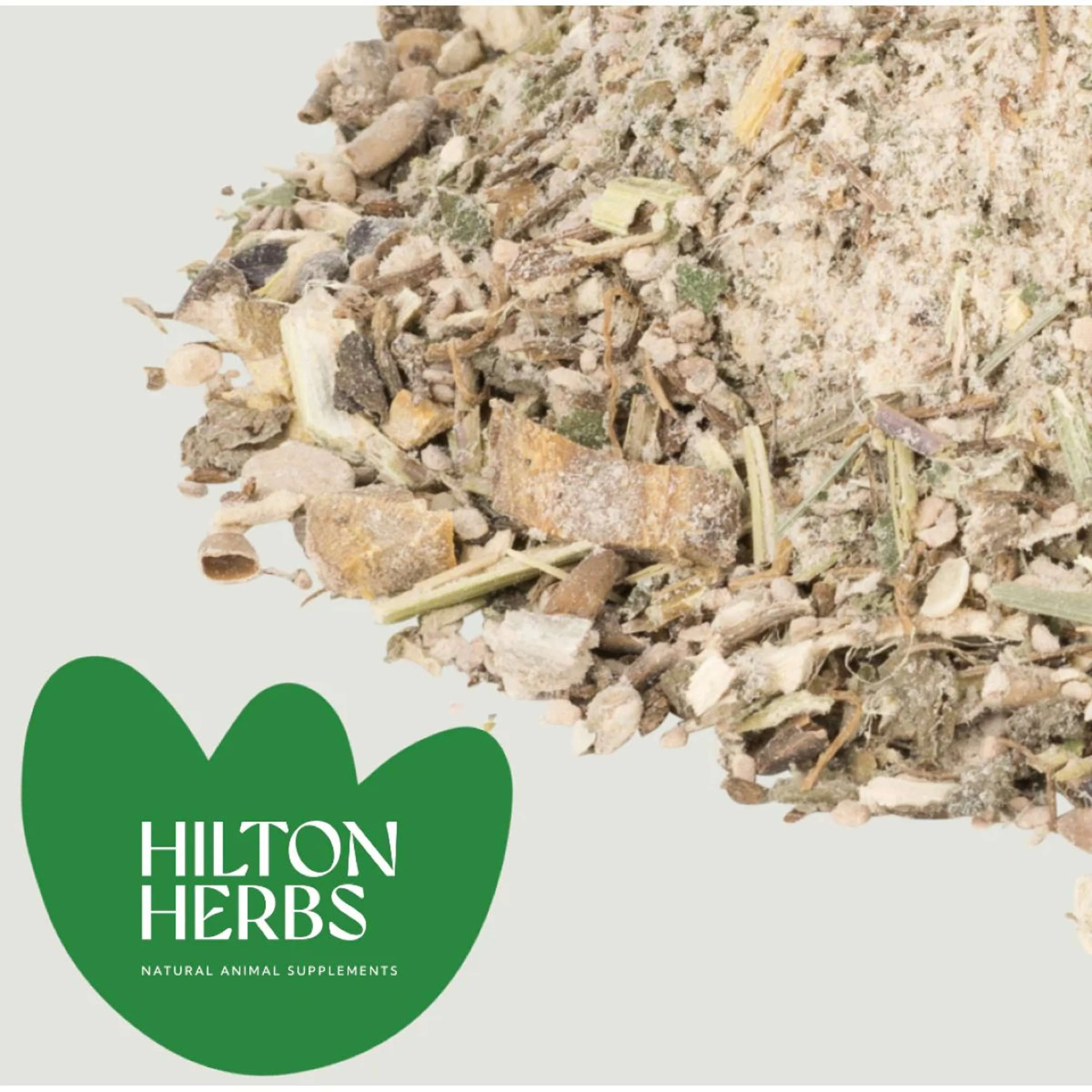 Hilton Herbs Digest Support - Image 2