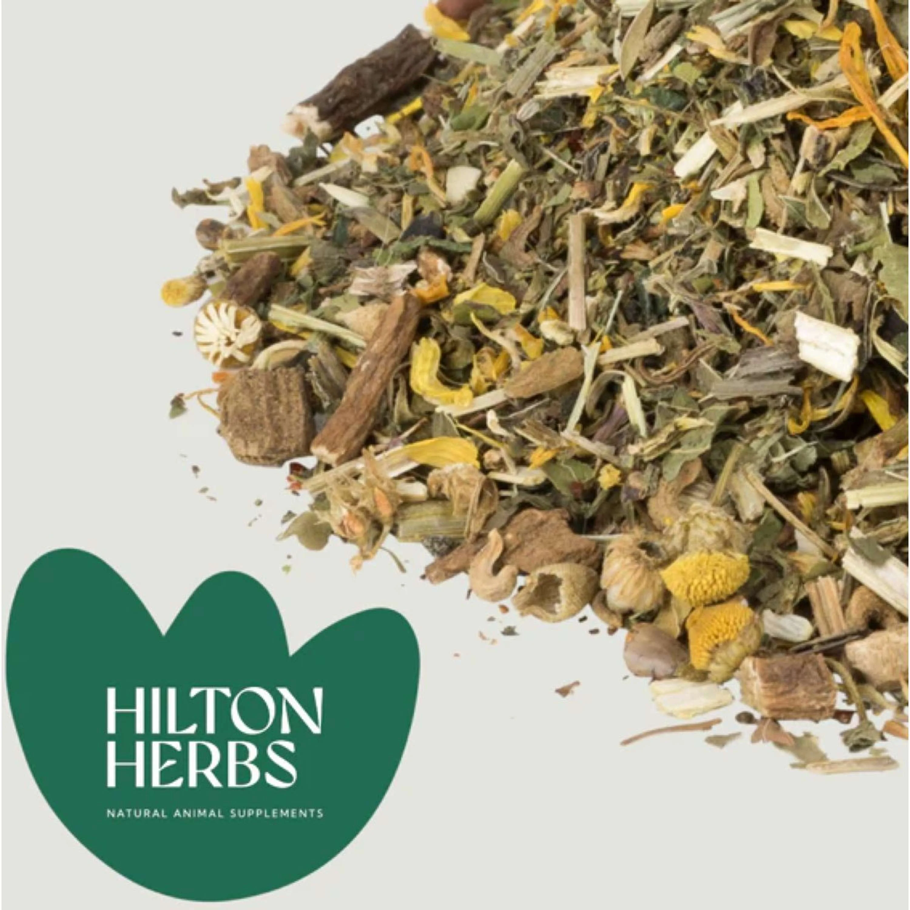 Hilton Herbs Herb Power - Image 2