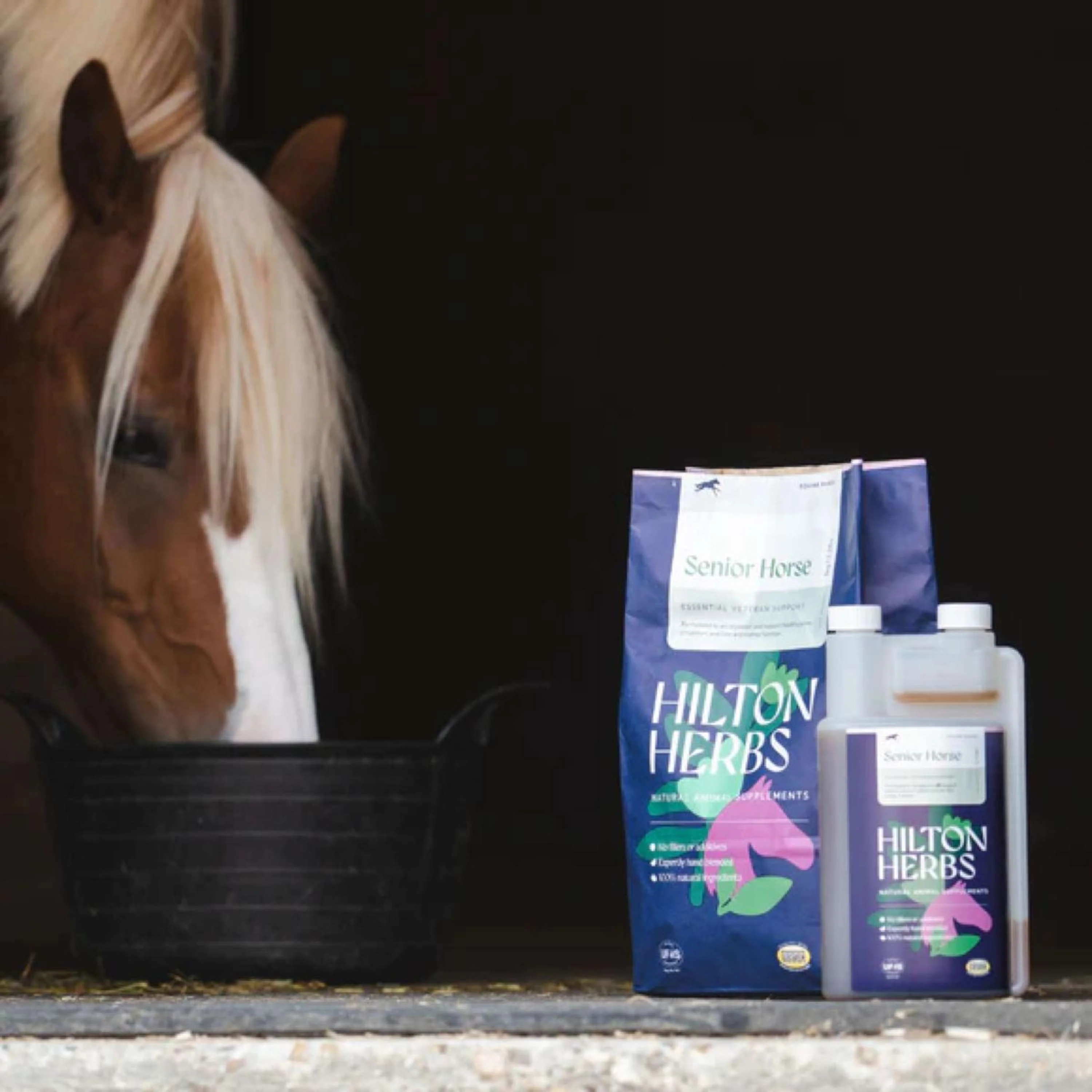 Hilton Herbs Senior Horse - Image 3