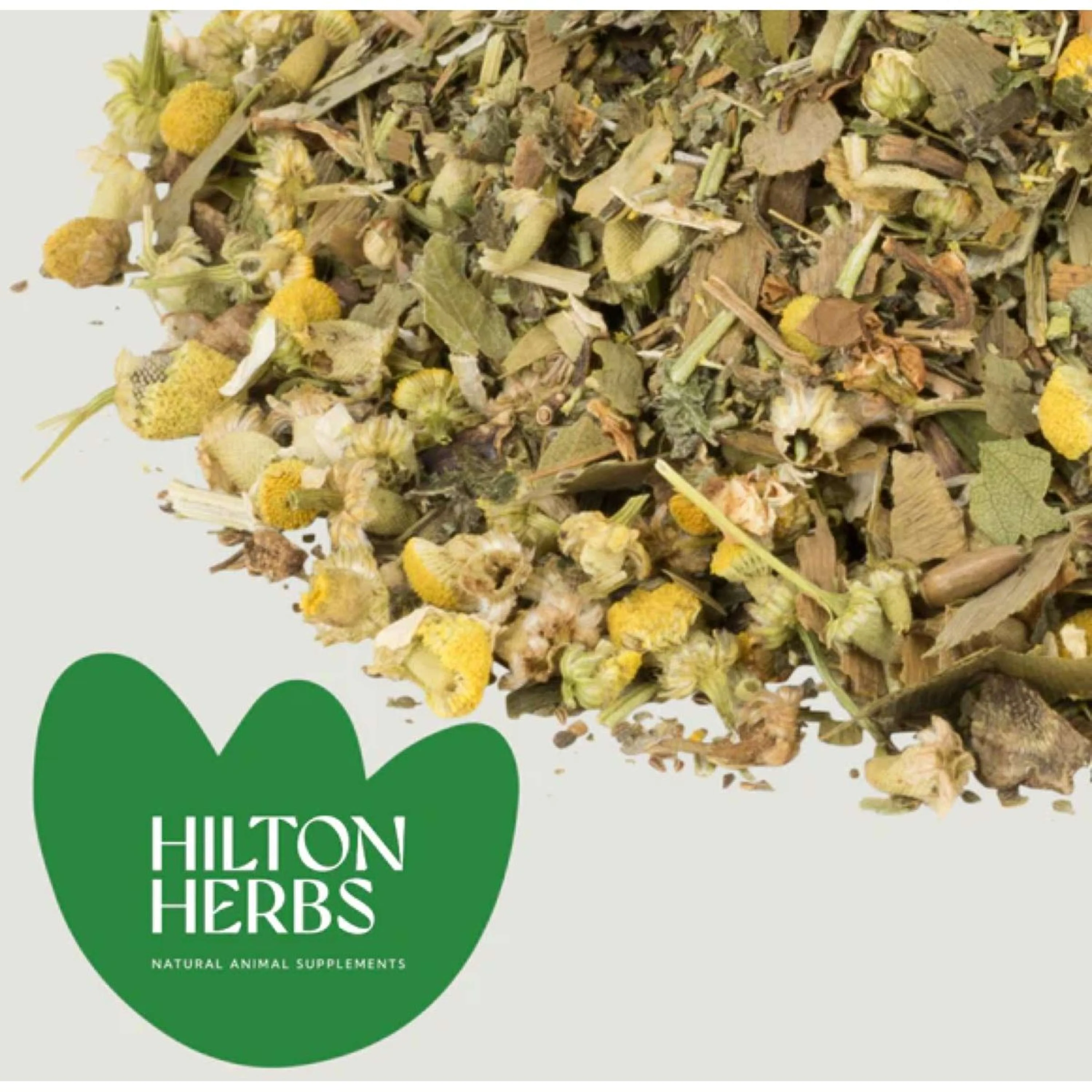 Hilton Herbs Senior Horse - Image 4