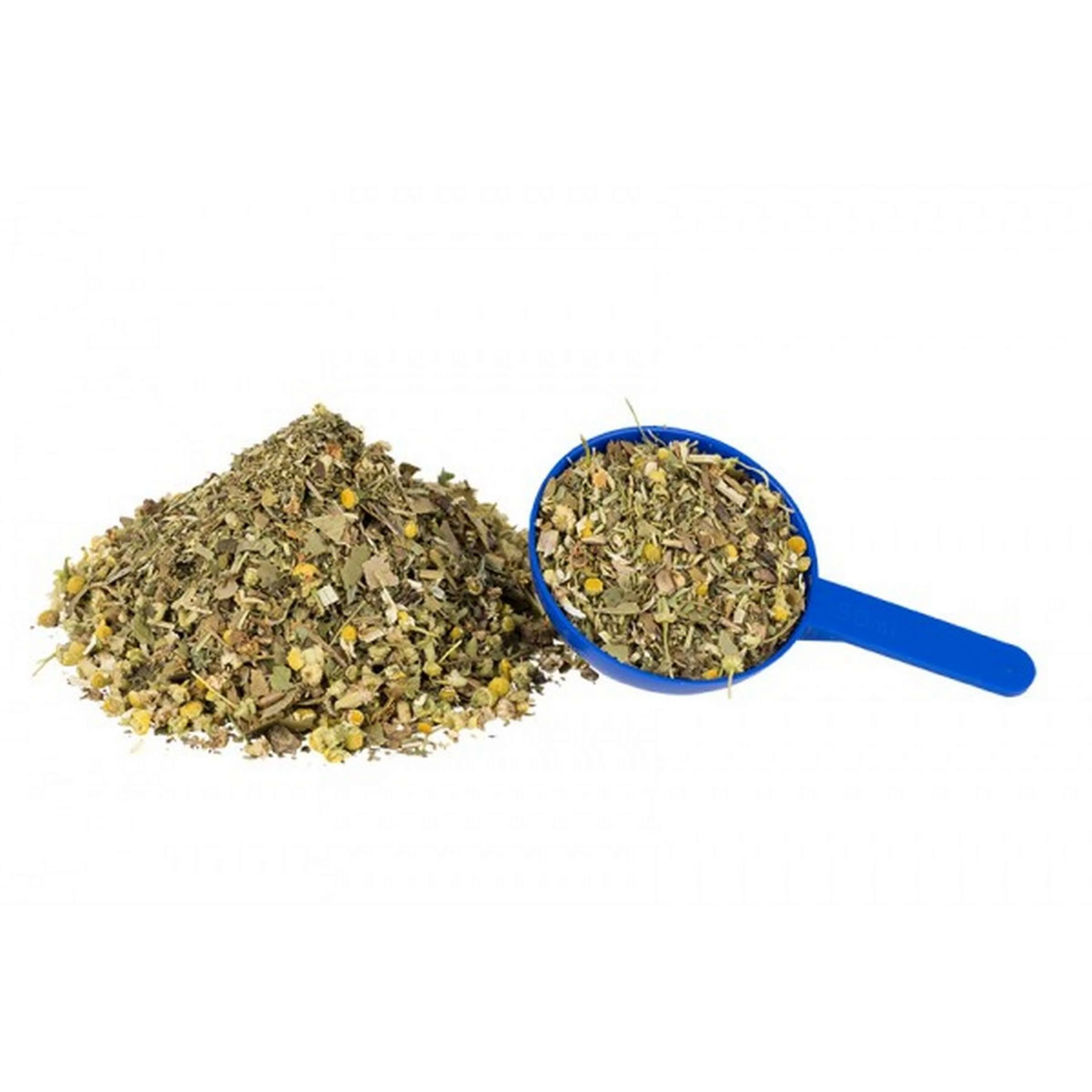 Hilton Herbs Senior Horse - Image 5