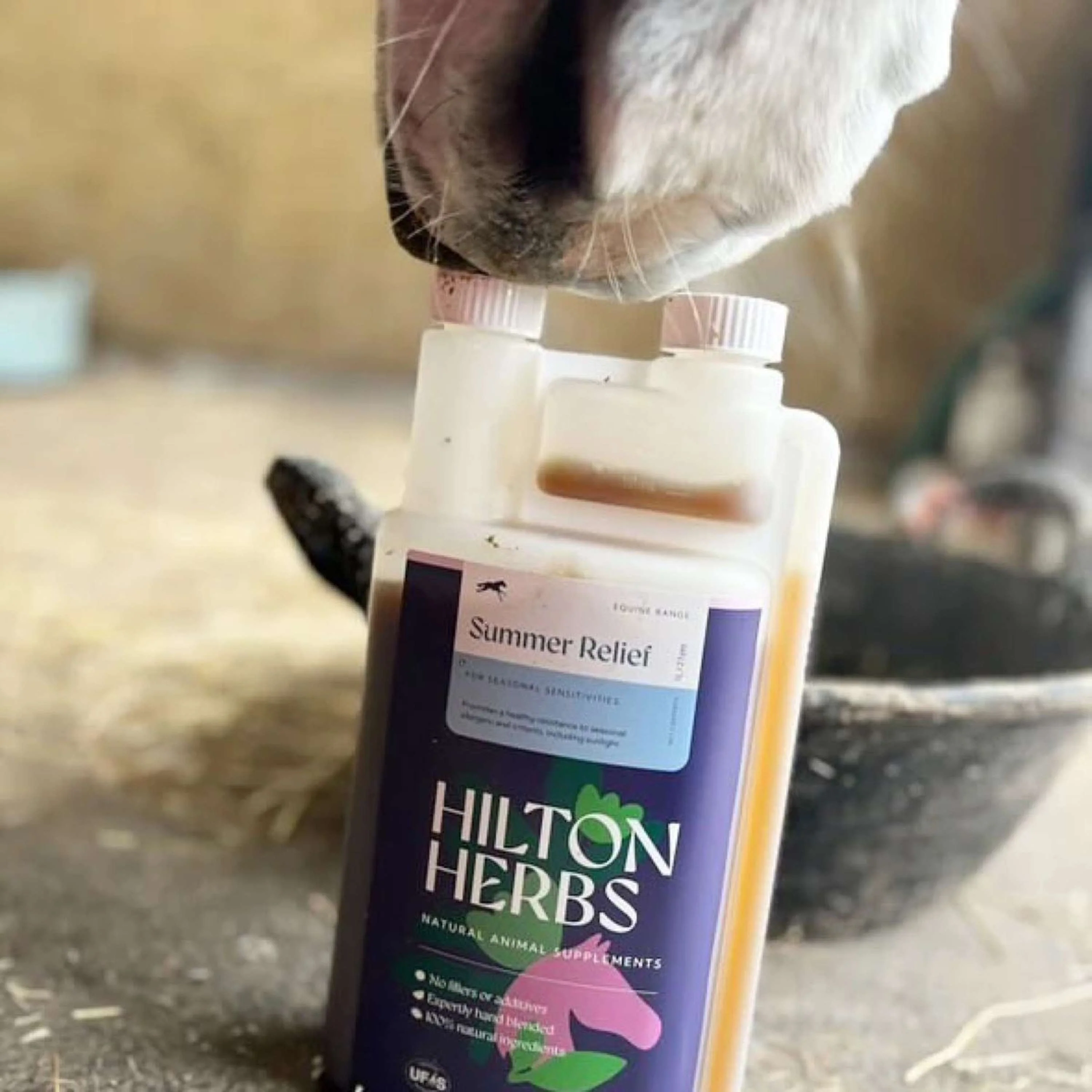 Hilton Herbs Summer Relief - Image 2
