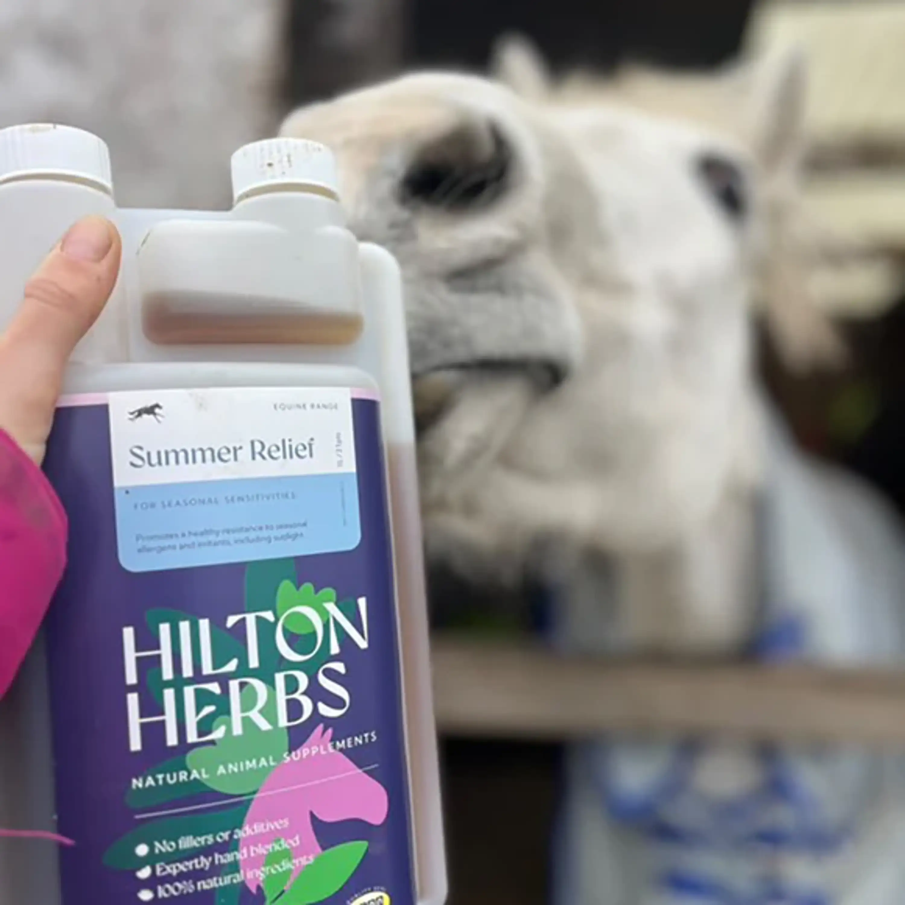 Hilton Herbs Summer Relief - Image 3