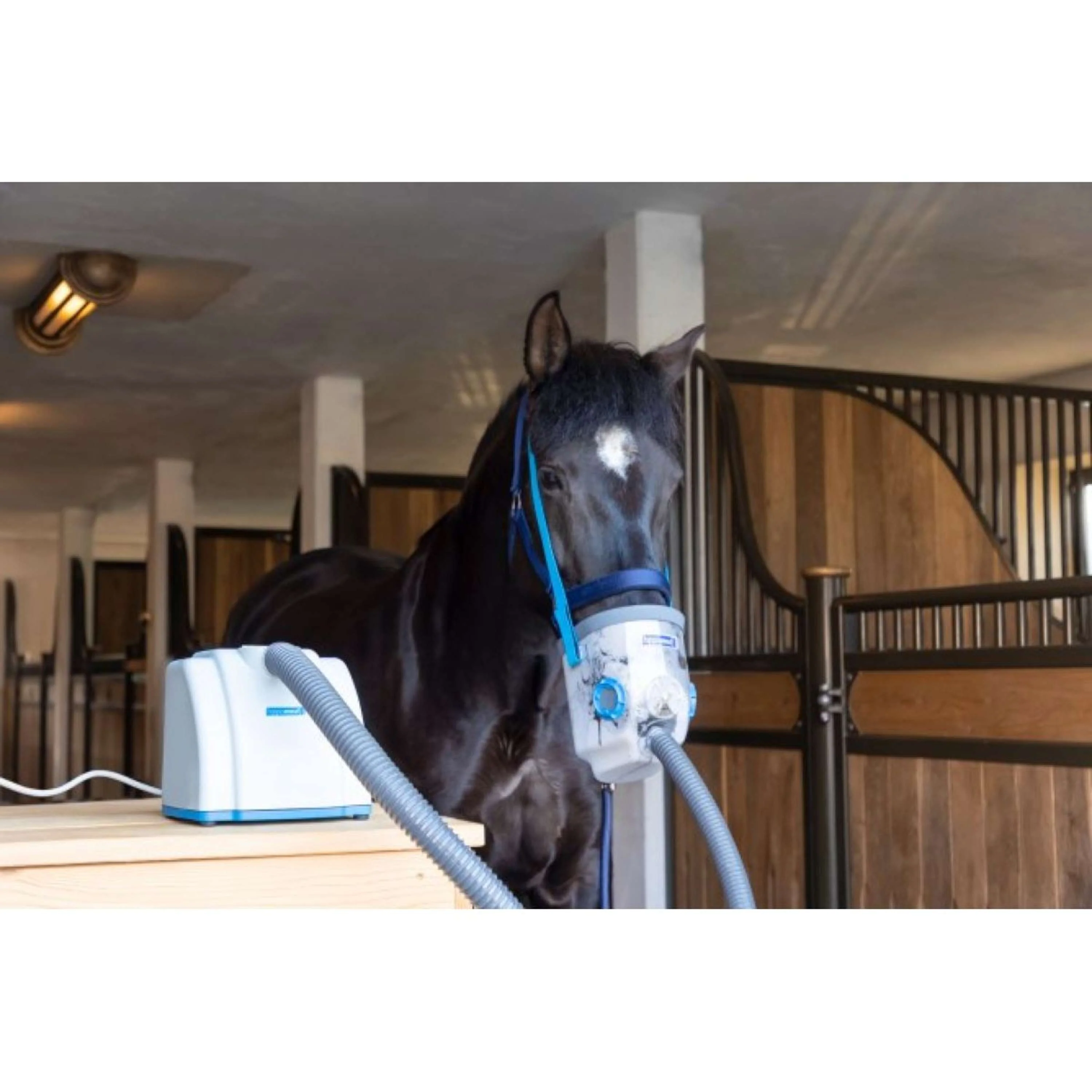 Hippomed Inhalateur Ultrasound AirOne Ensemble - Image 4