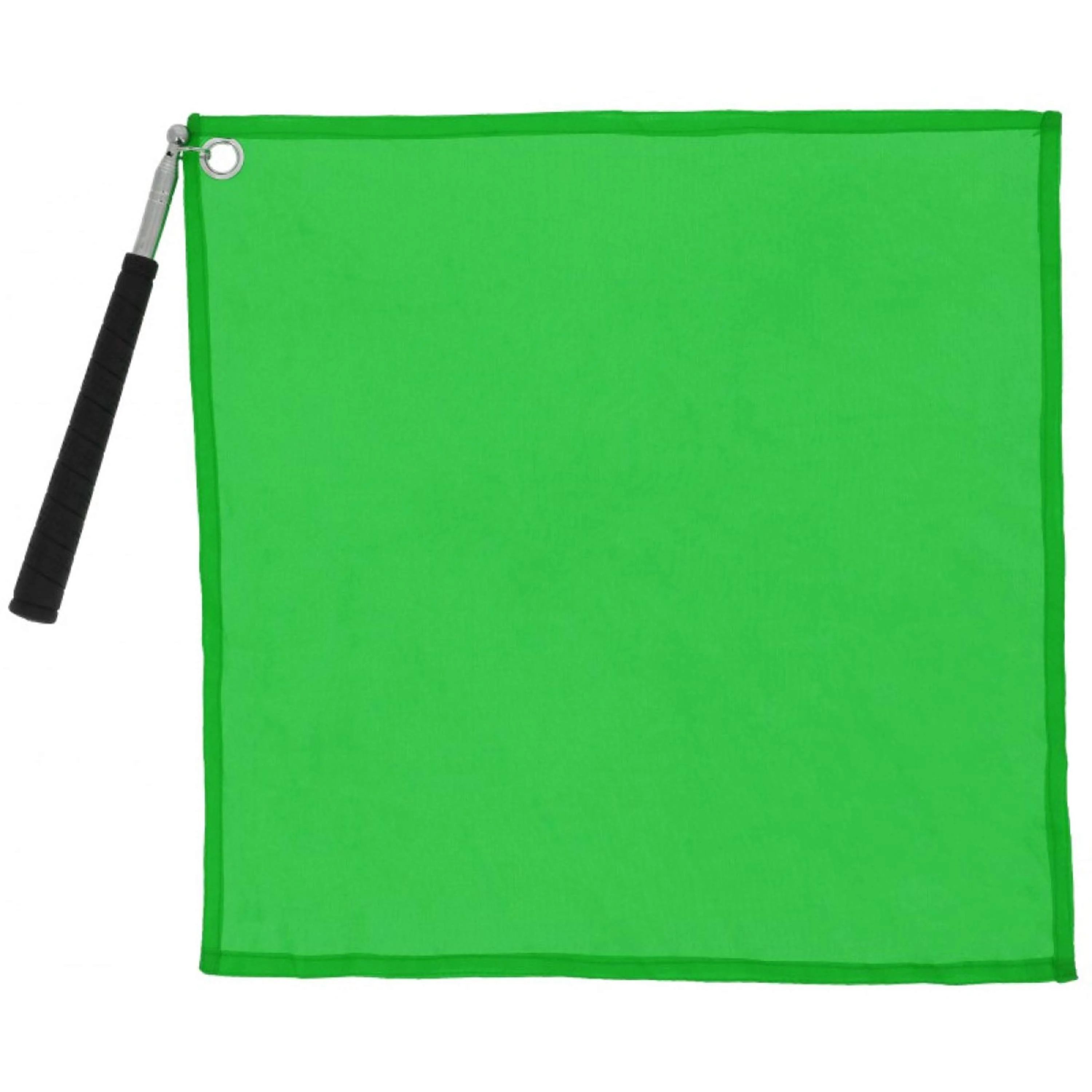 Hippotonic Bâton d'entraînement Ethologisch avec drapeau Vert - Image 2