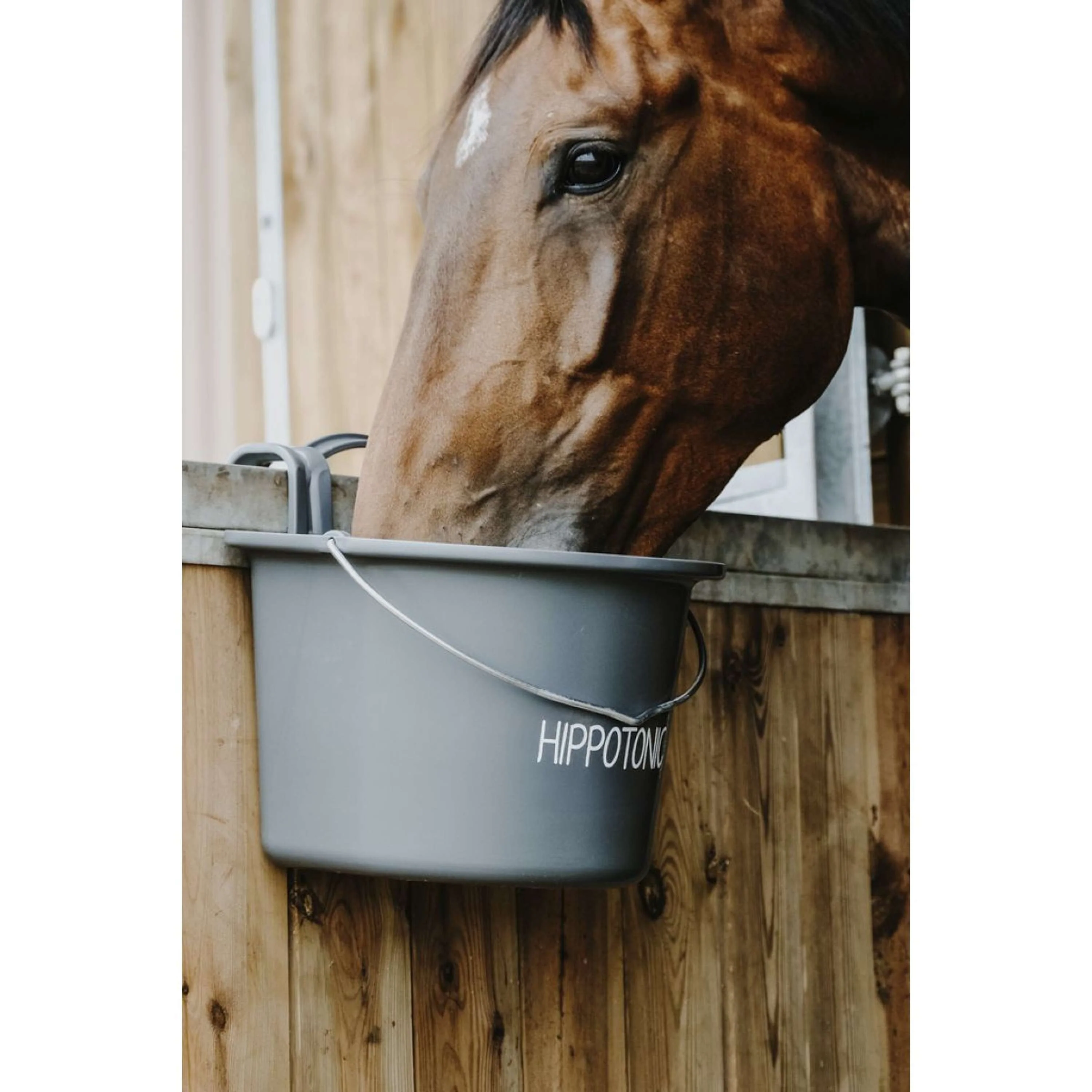 Hippotonic Mangeoire avec Poignée Gris Foncé - Image 6
