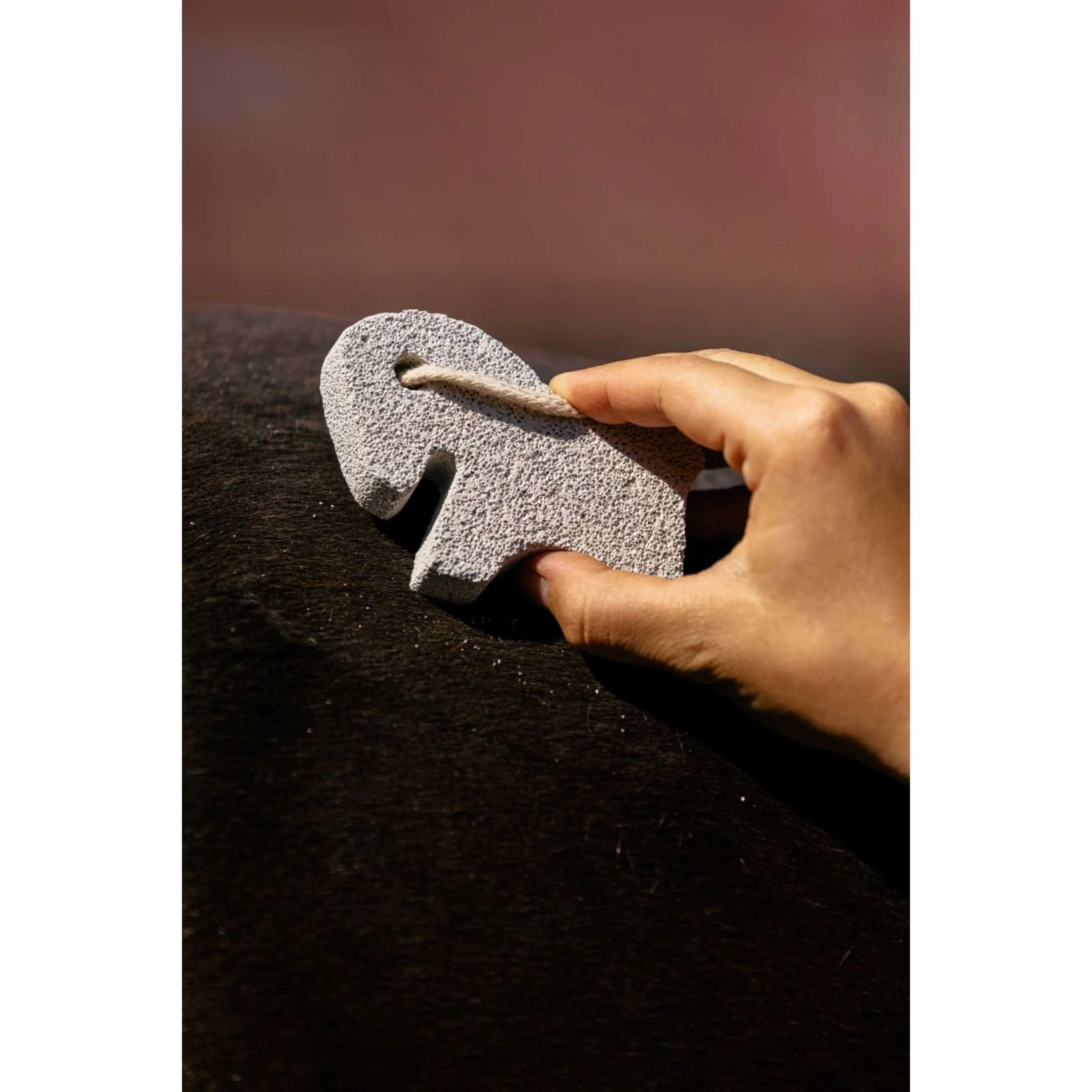 Hippotonic Moellons Horse Blanc - Image 2