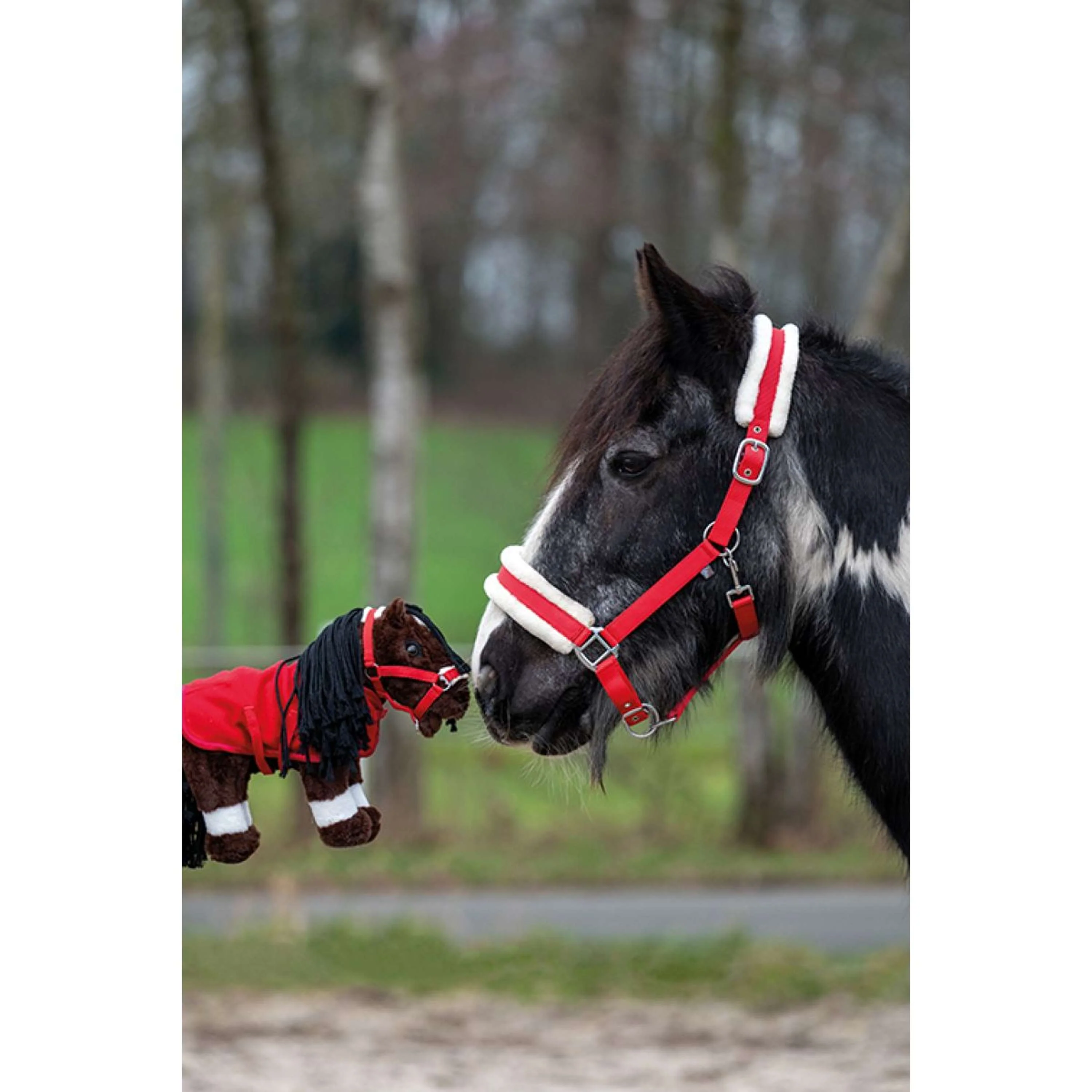 HKM Câlin Poney Ensemble de Démarrage Rouge - Image 3