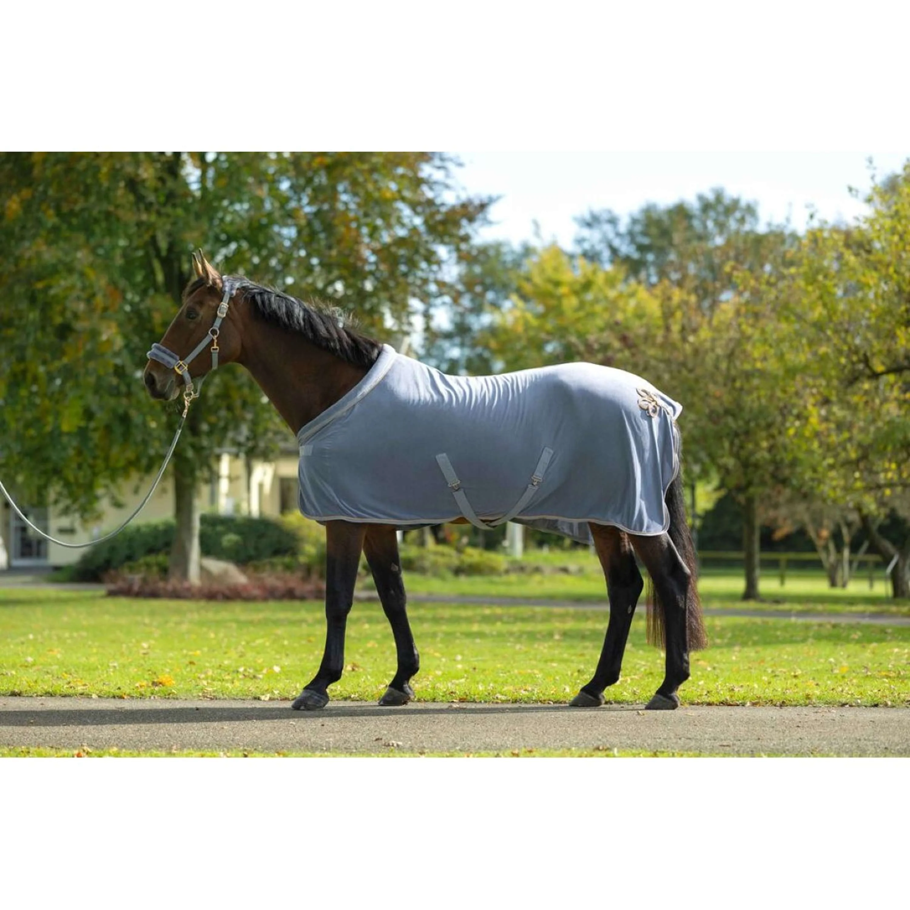 HKM Couvertures Anti-Transpiration Rosegold Glamour Or Rose - Image 2