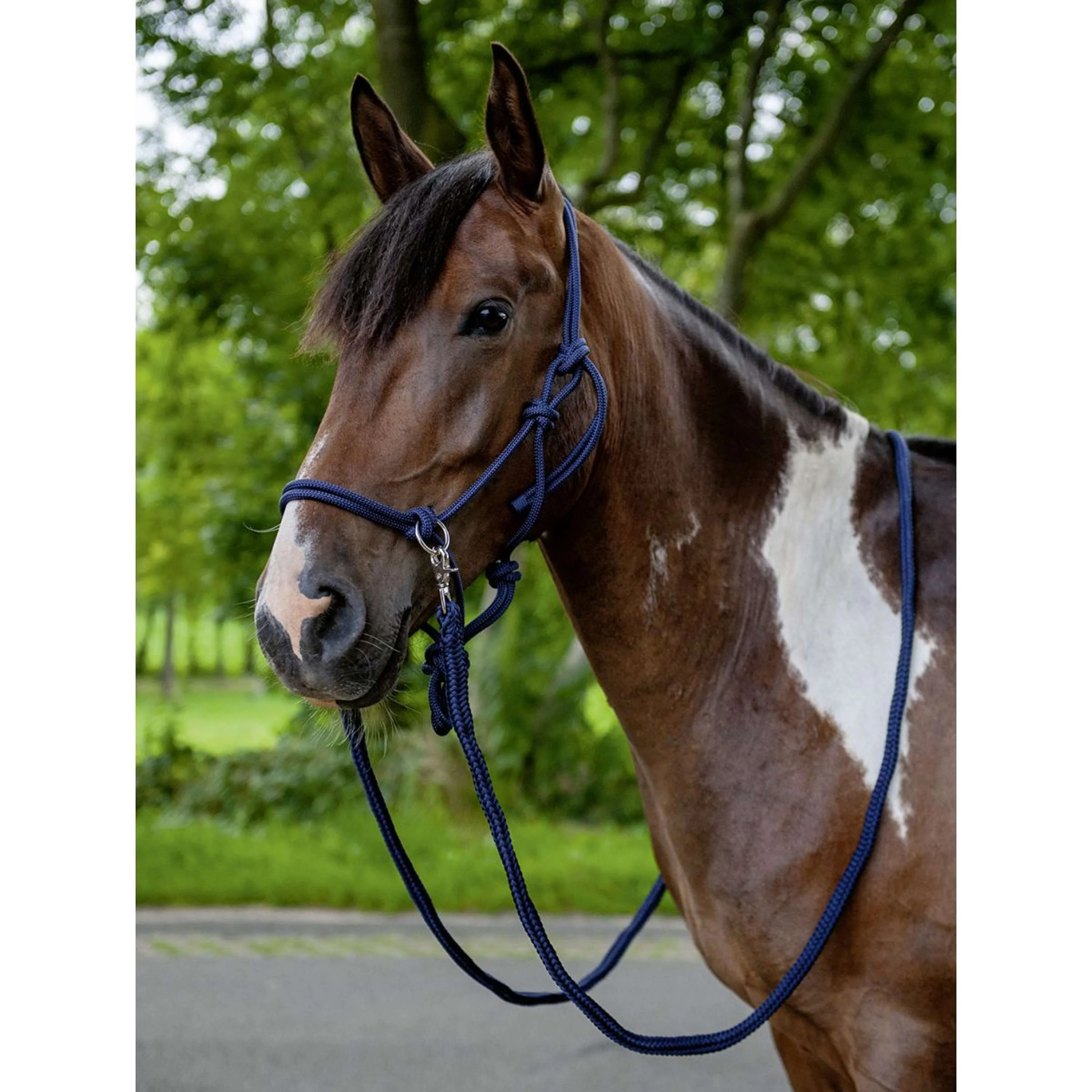 HKM Licol en Corde avec Rêne Bleu Foncé - Image 2