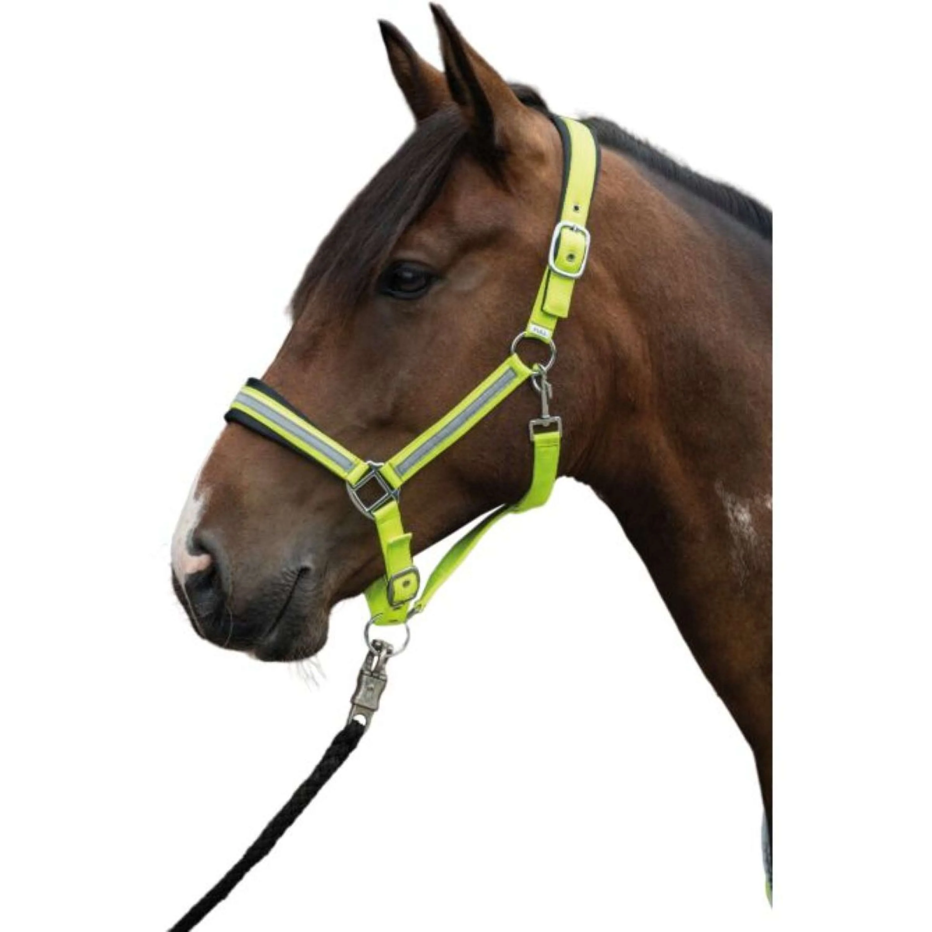 HKM Licol Reflective Néon Jaune - Image 2