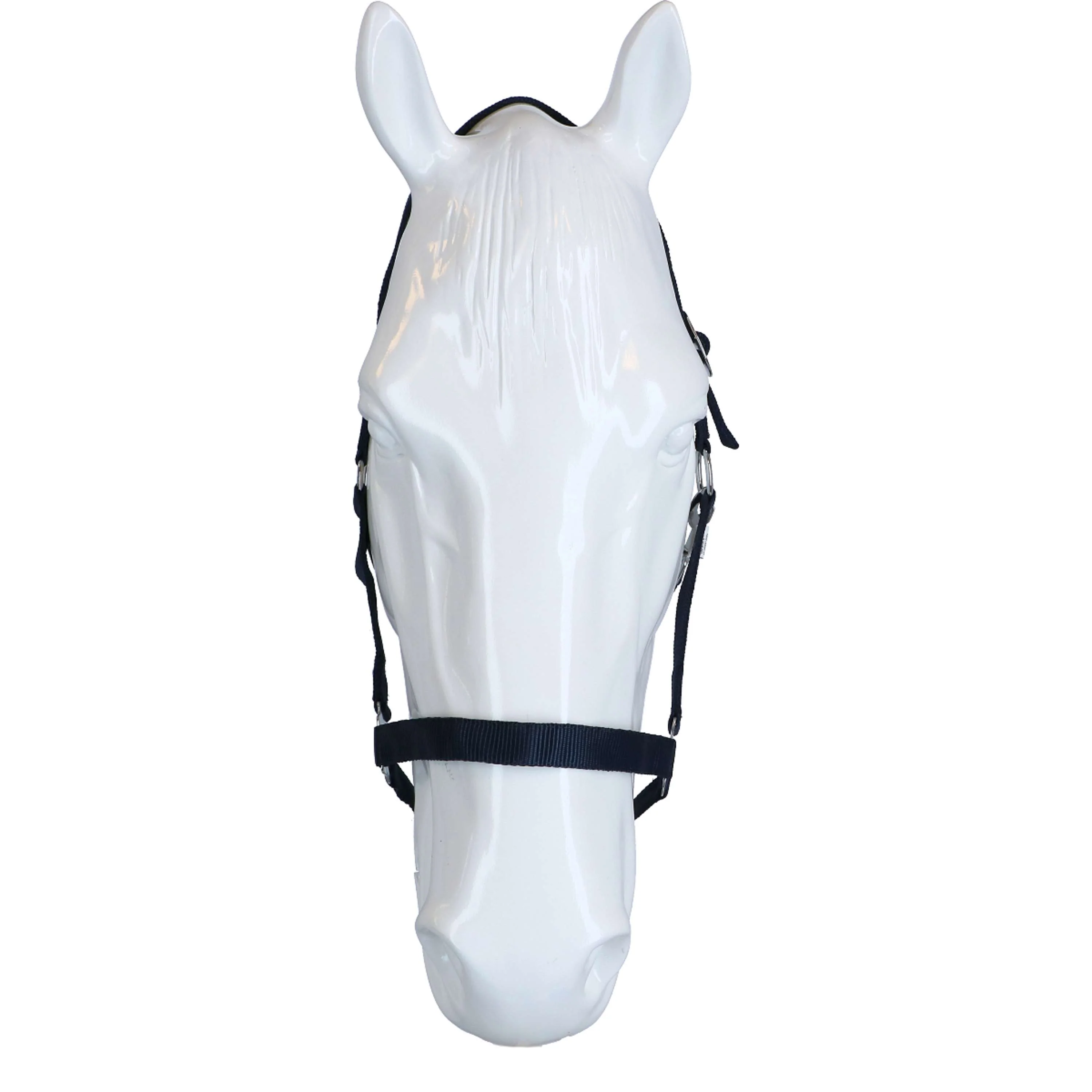 HKM Licol Stars Economy Bleu foncé - Image 3
