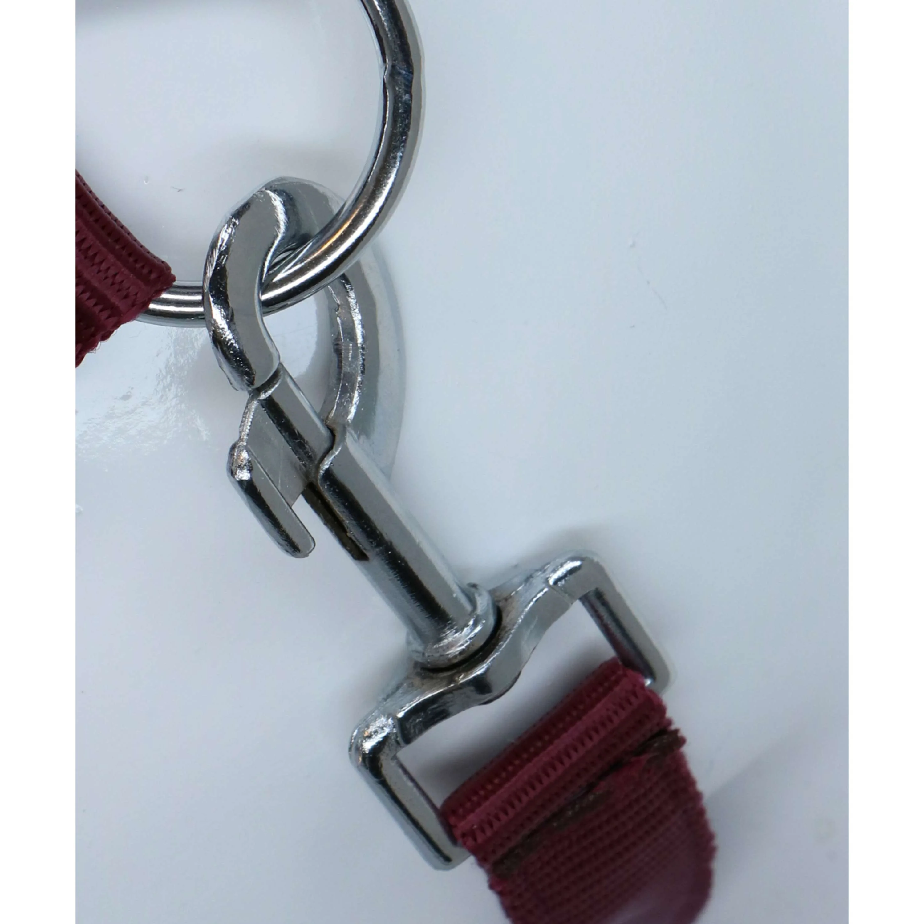 HKM Licol Stars Economy Rouge foncé - Image 3