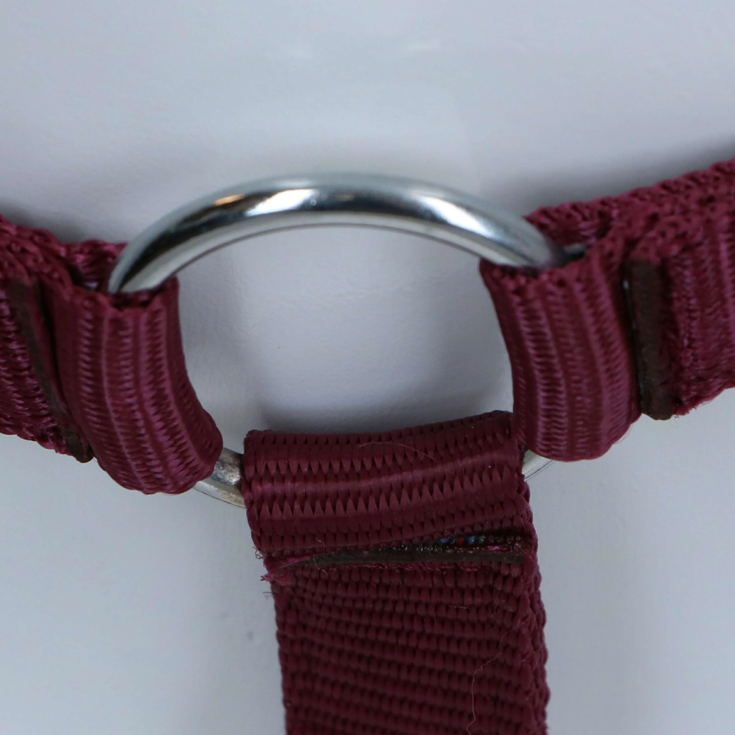 HKM Licol Stars Economy Rouge foncé - Image 5