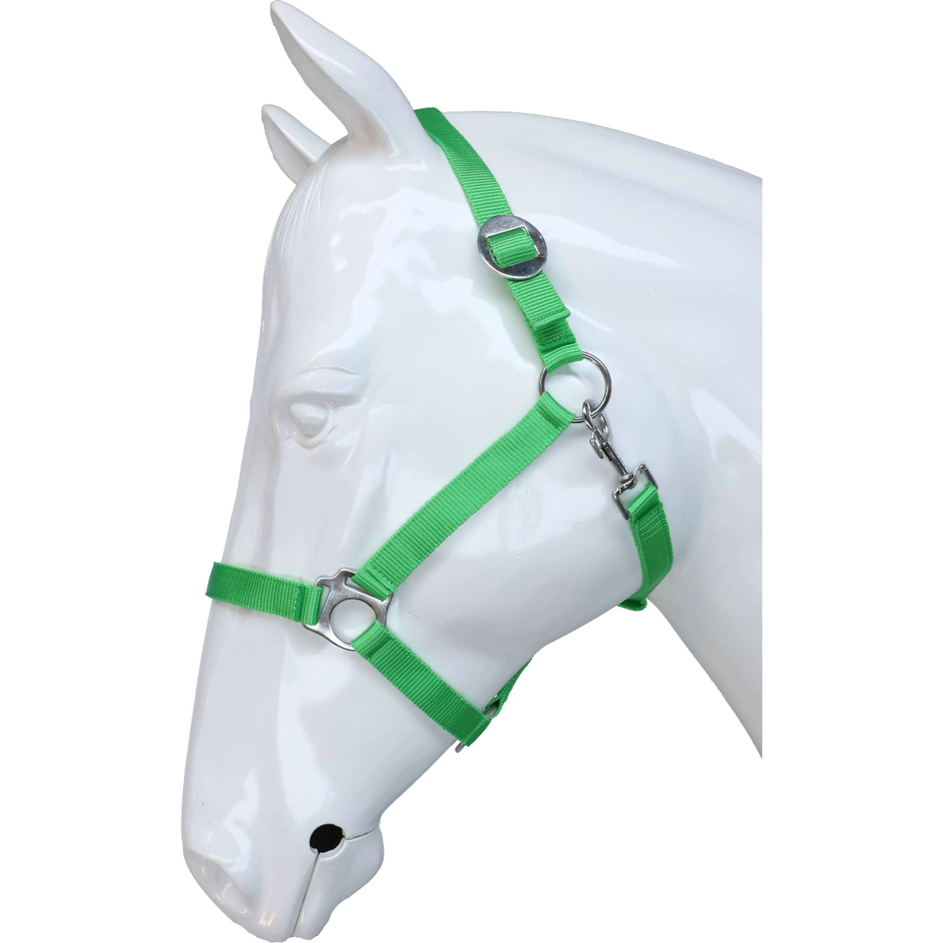 HKM Licol Stars Economy Vert clair - Image 2