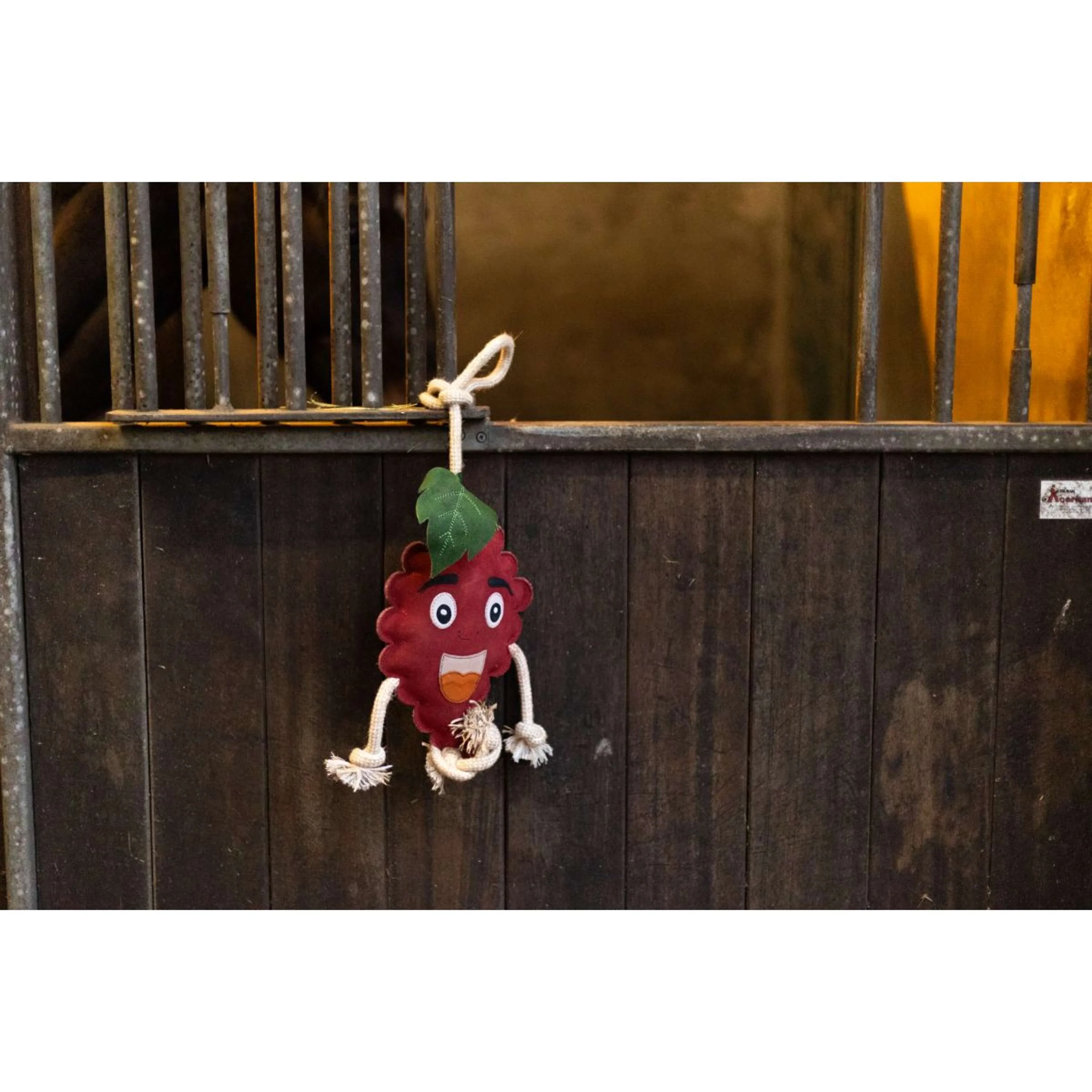 Excellent Horse Foodie Friends Framboise - Image 2