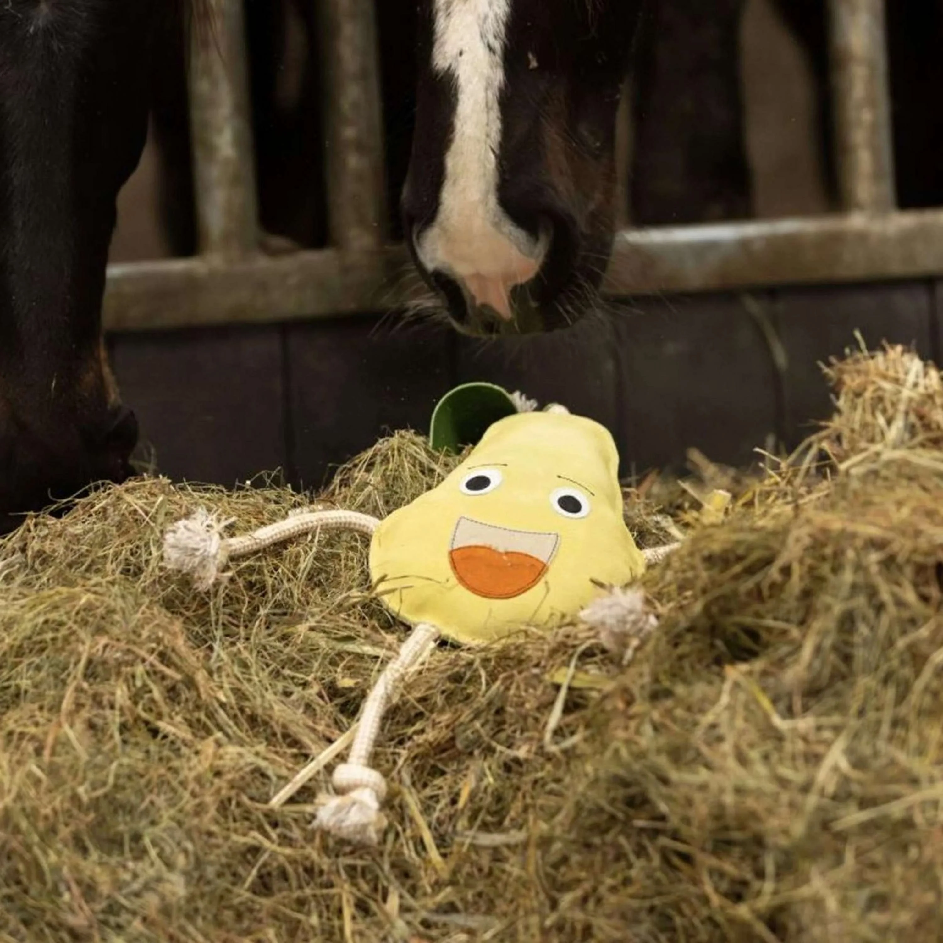 Excellent Horse Foodie Friends Pear - Image 2