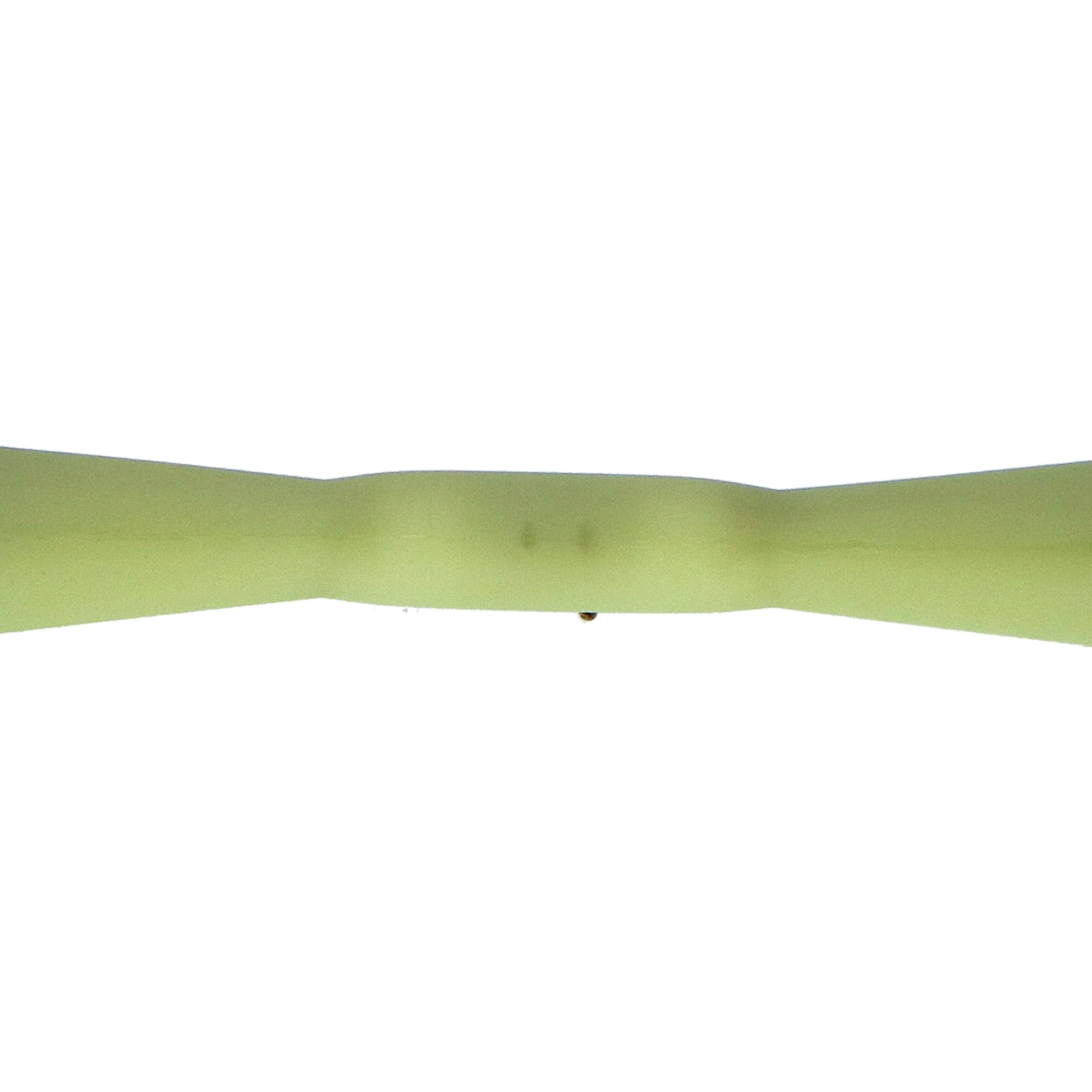 HORKA Mors de Filet Caoutchouc Goût pomme 21mm - Image 2